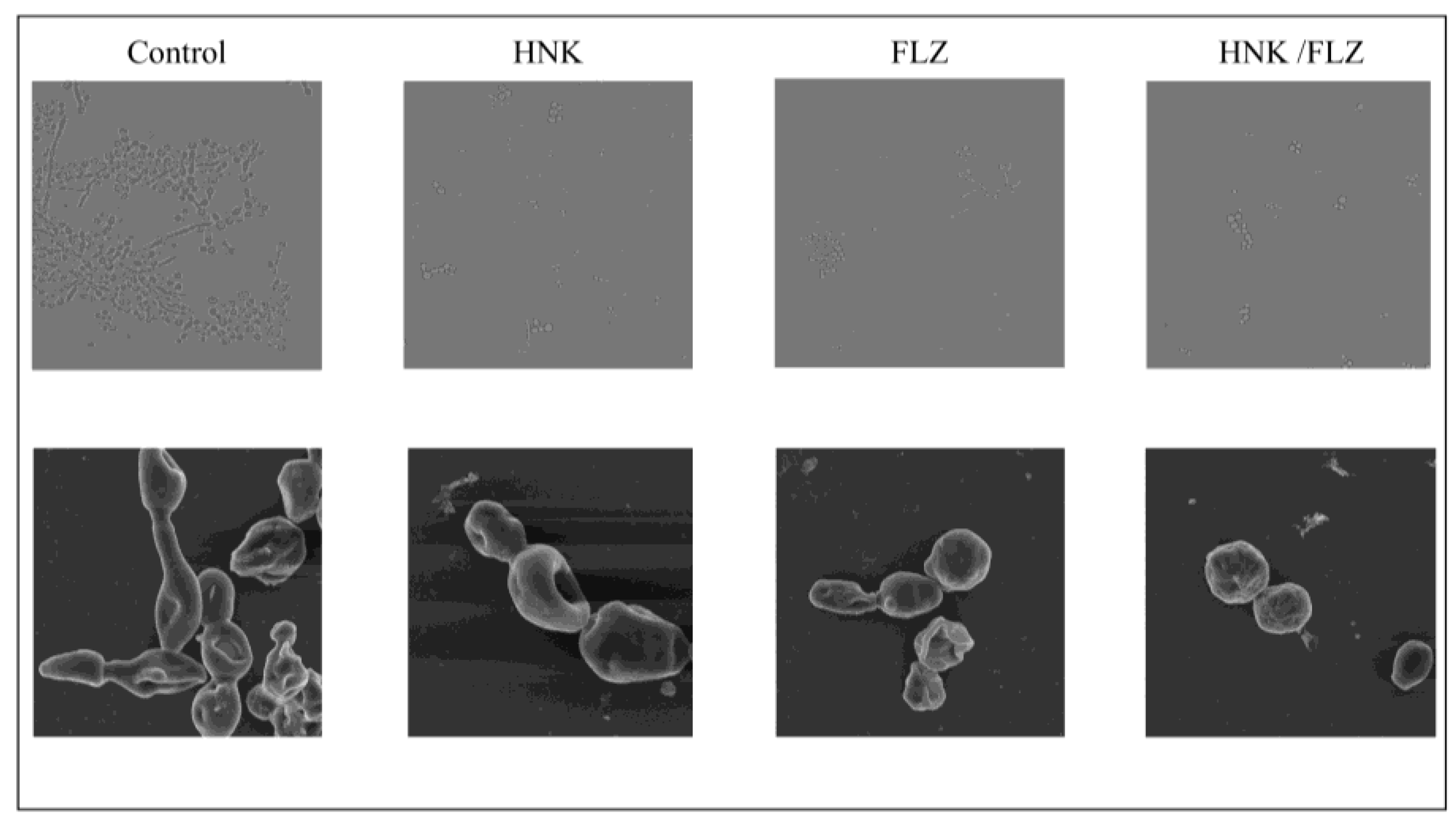 Preprints 195680 g004