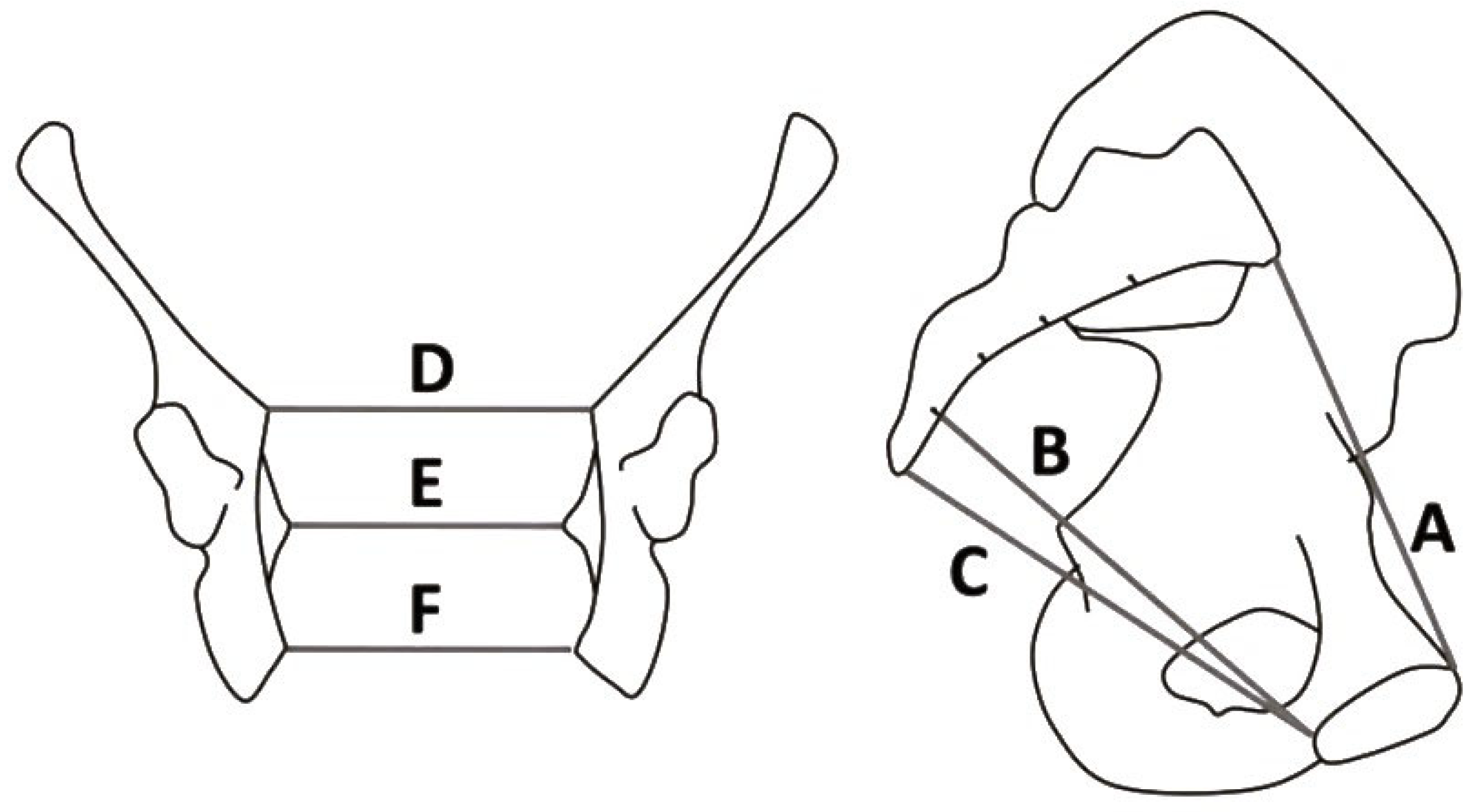 Preprints 119350 g001