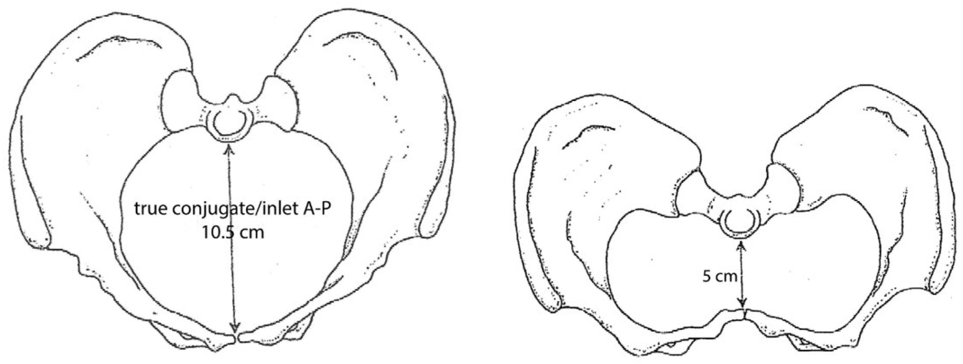 Preprints 119350 g002