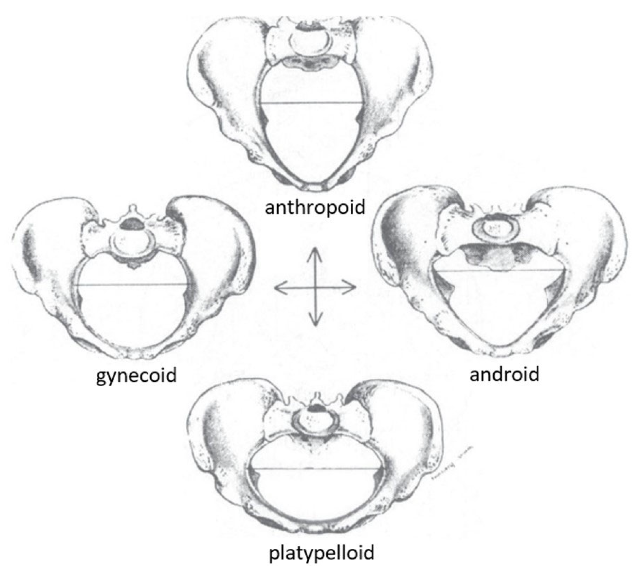 Preprints 119350 g004