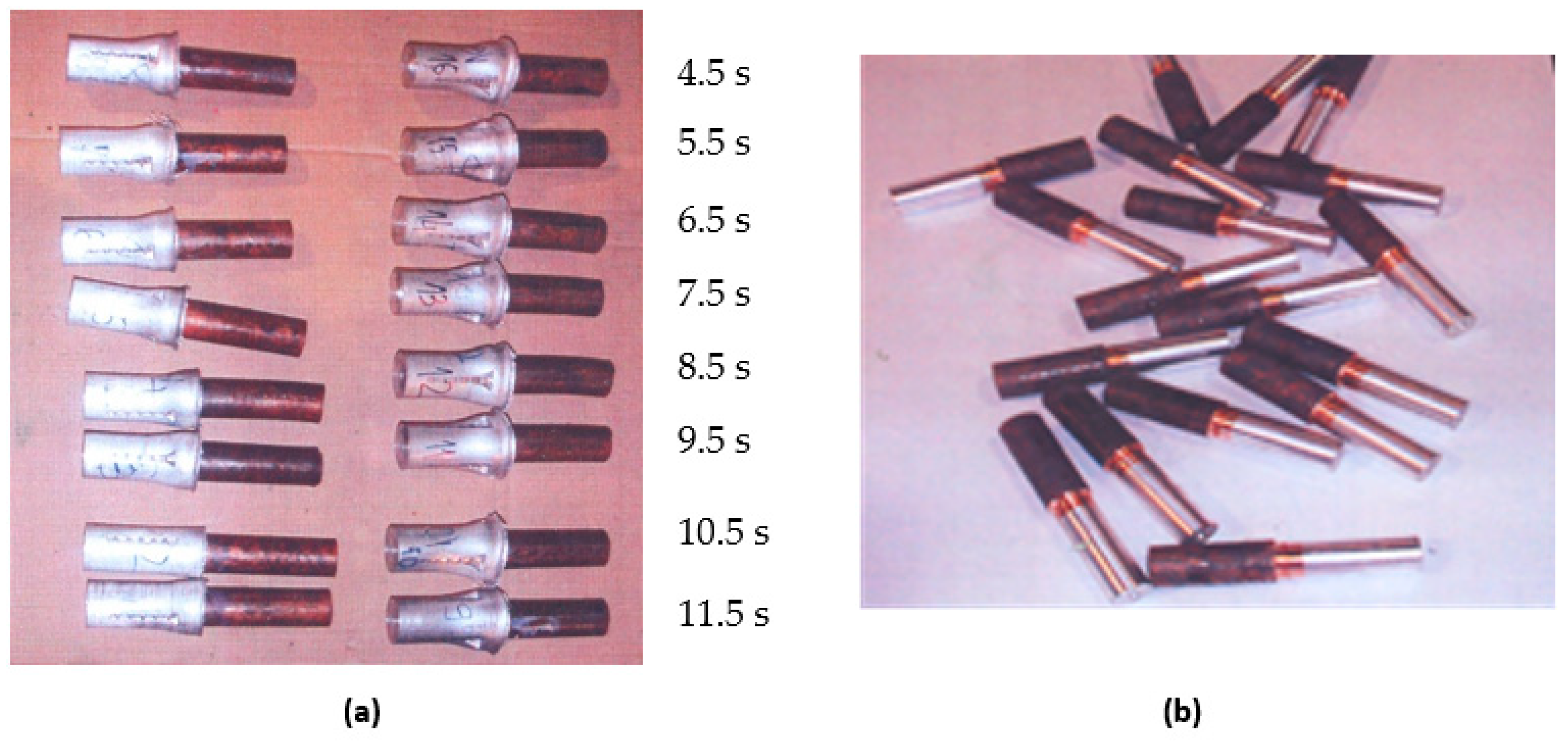 Preprints 152119 g003
