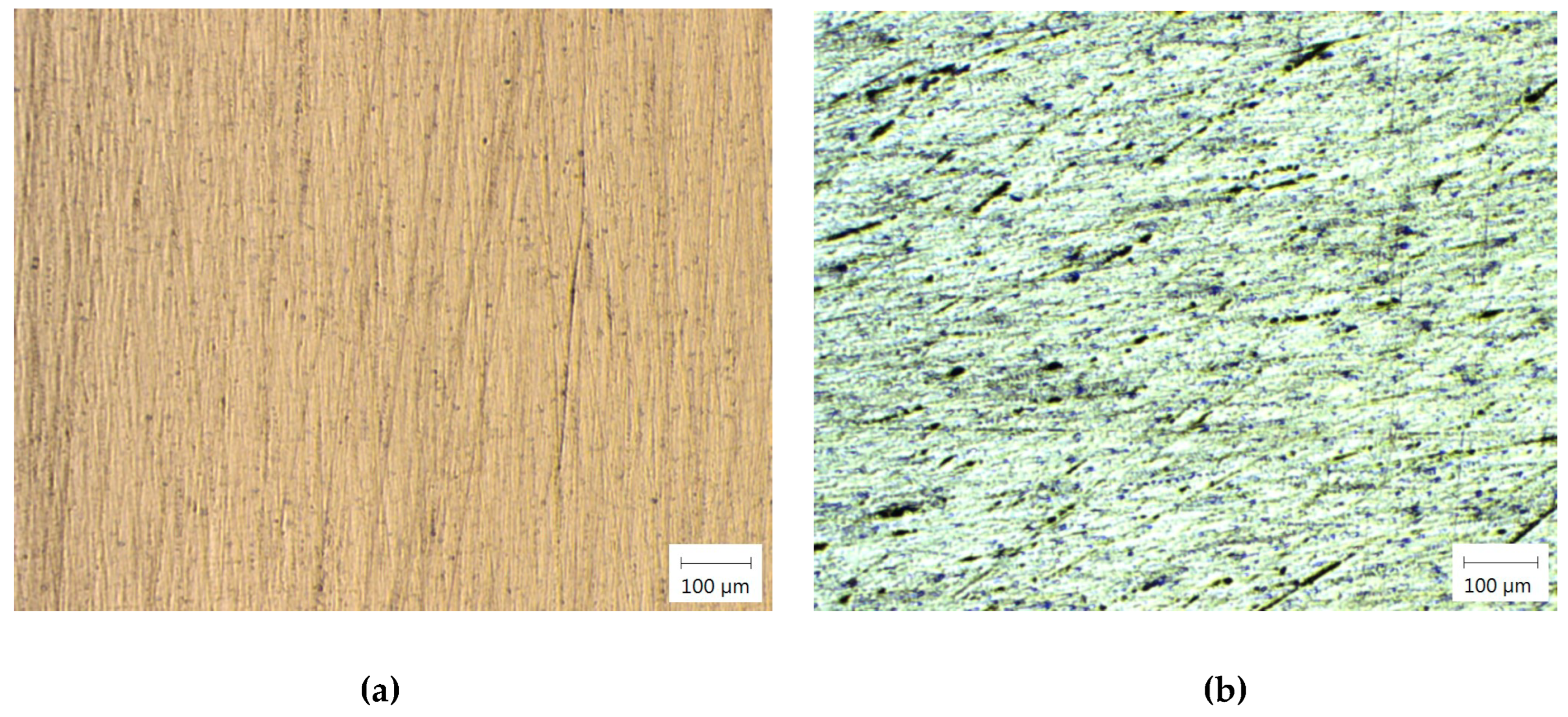 Preprints 152119 g007