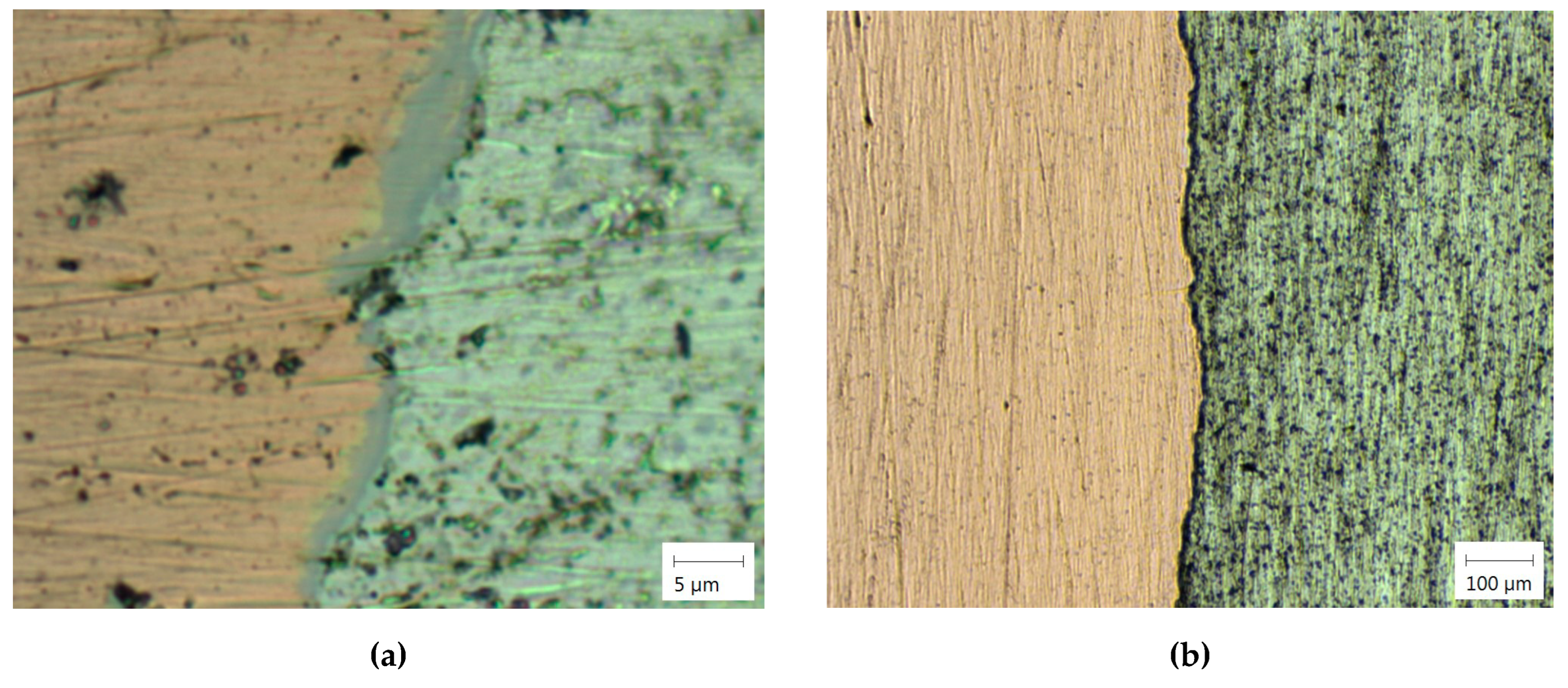 Preprints 152119 g008a