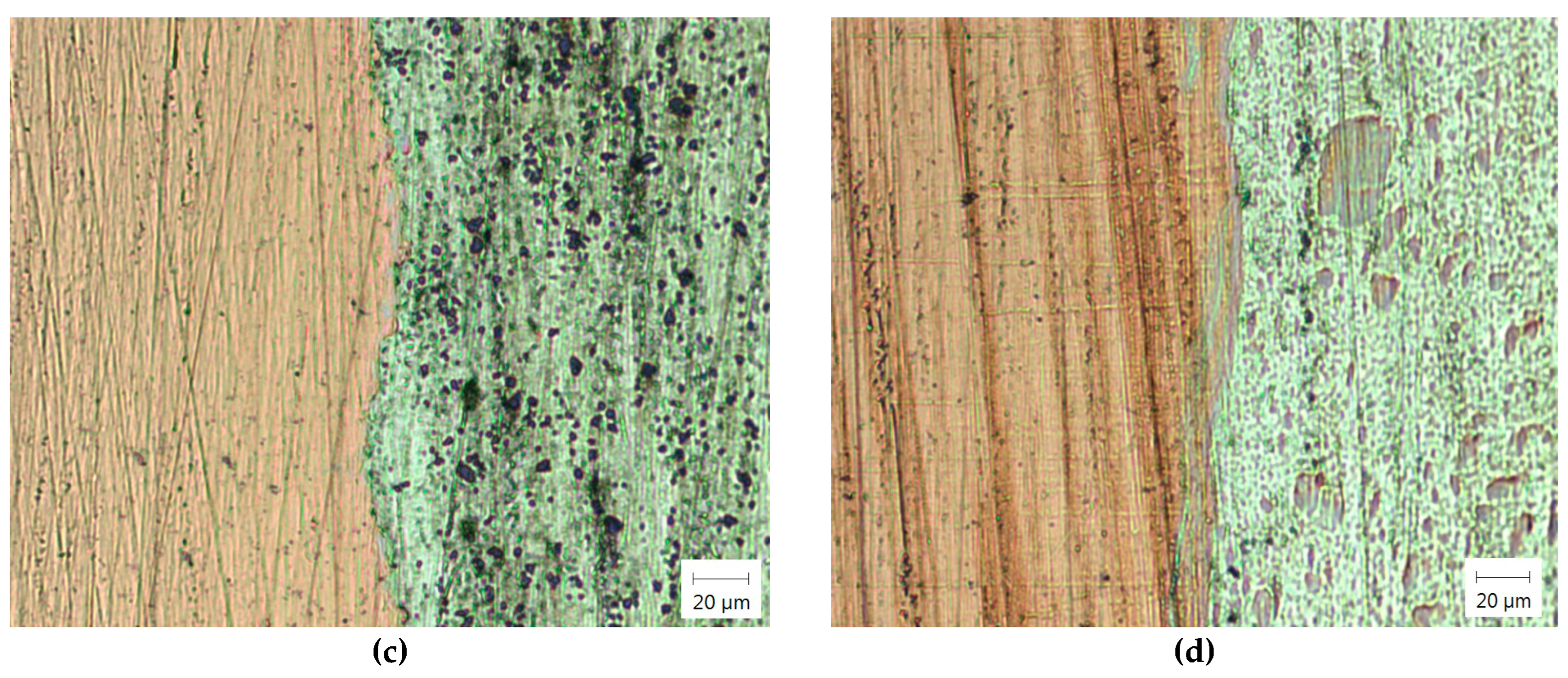 Preprints 152119 g008b