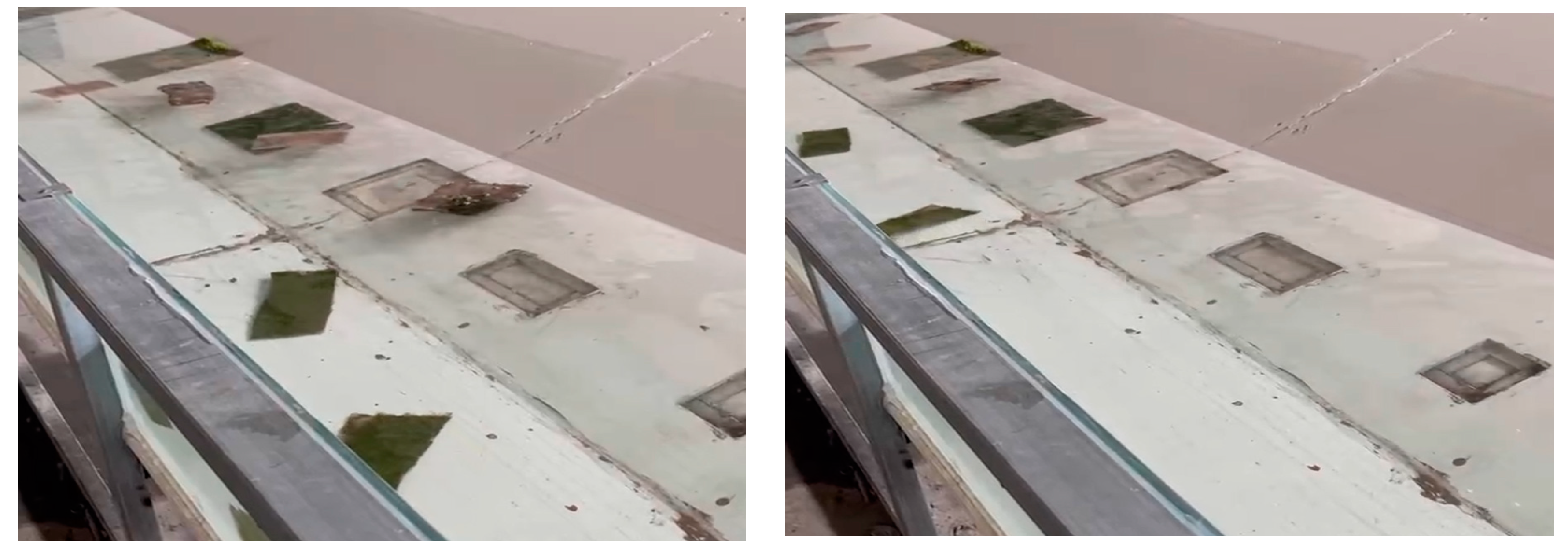 Preprints 101432 g003