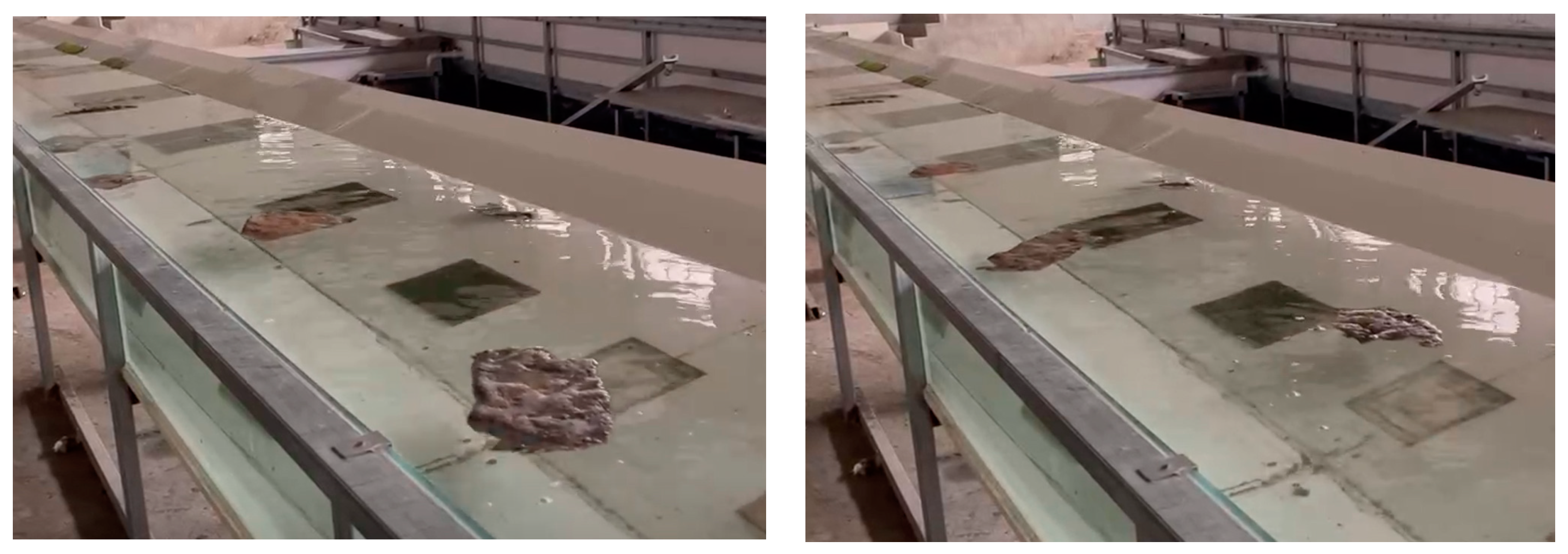 Preprints 101432 g004