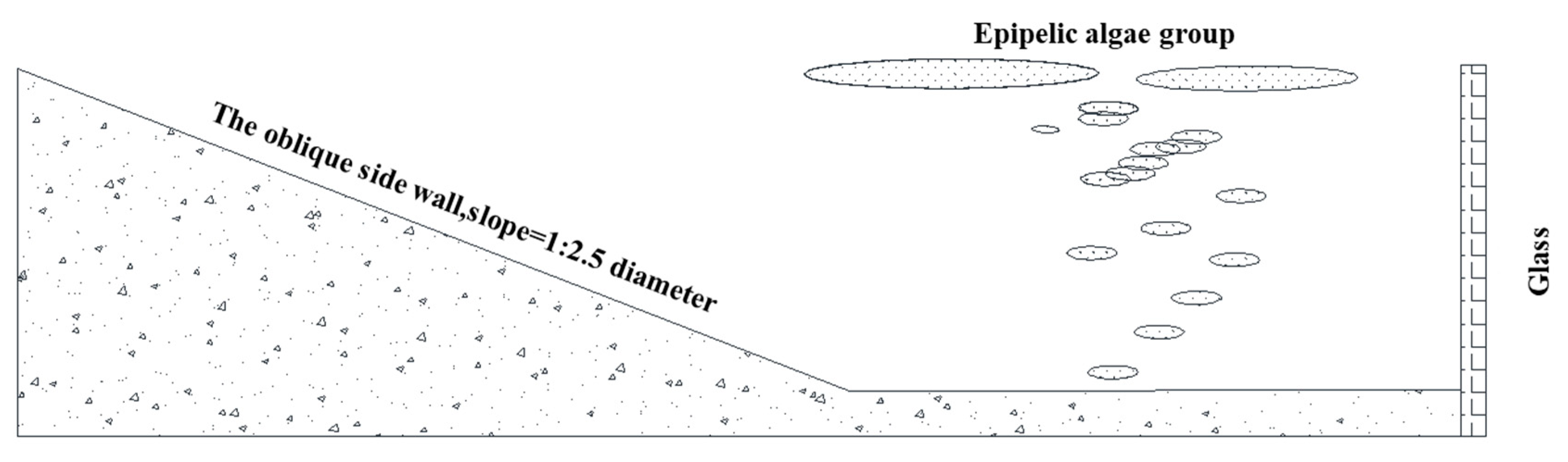 Preprints 101432 g006