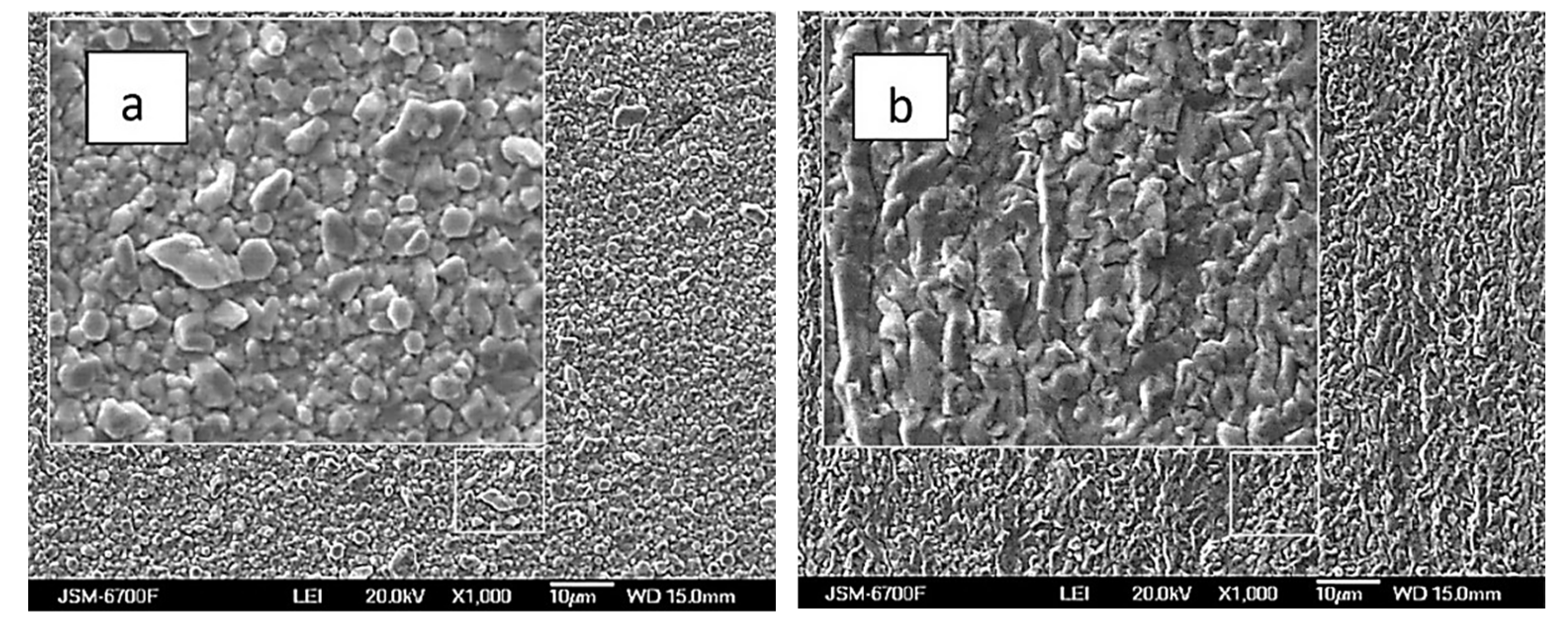Preprints 146794 g008