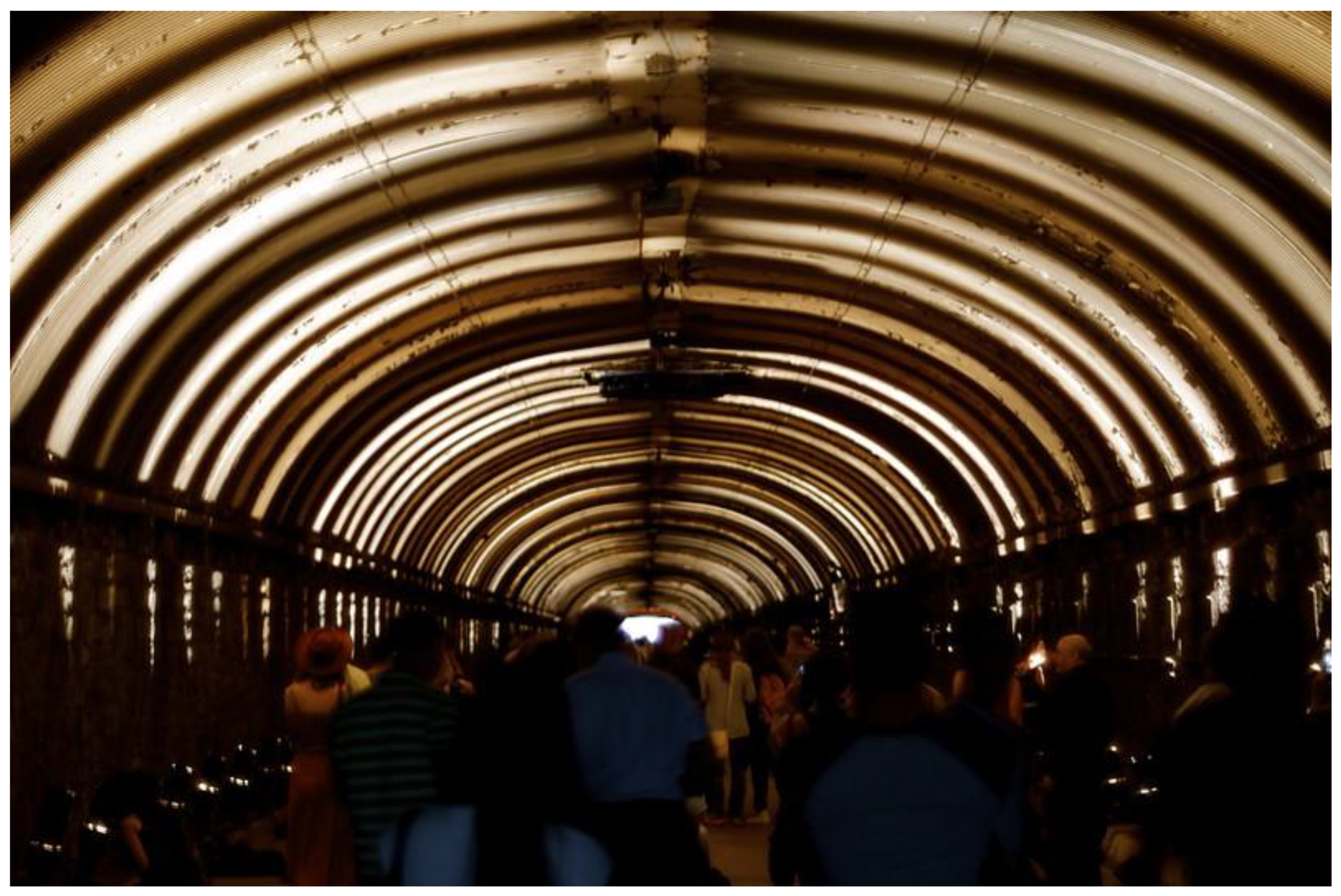 Preprints 163726 g003