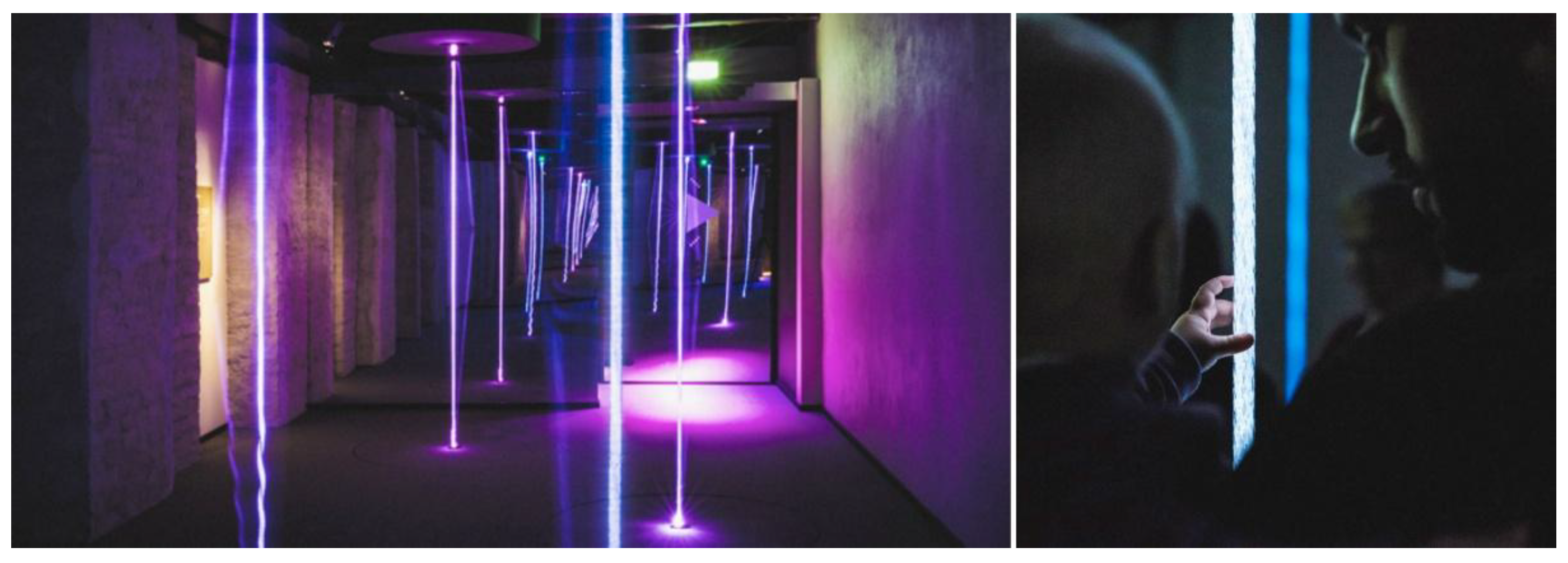 Preprints 163726 g006