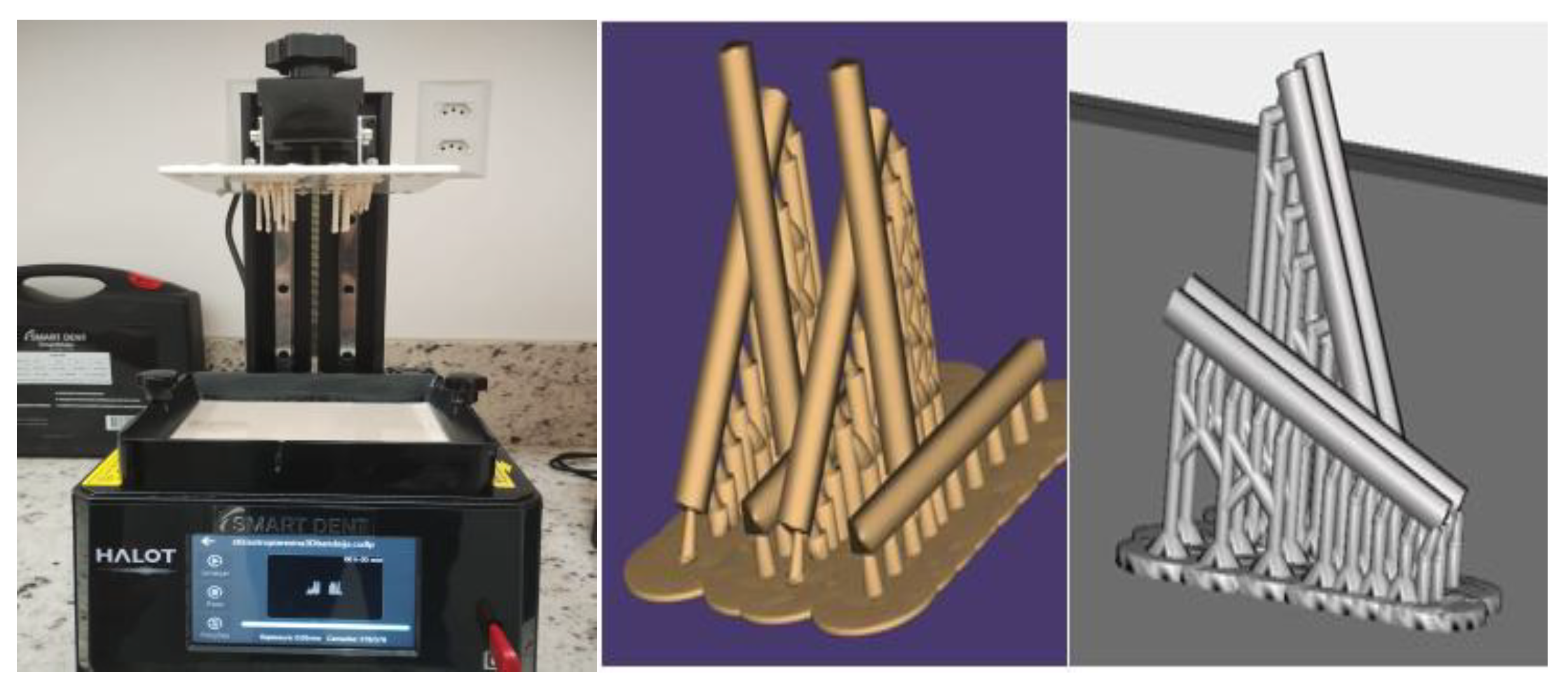 Preprints 149031 g001