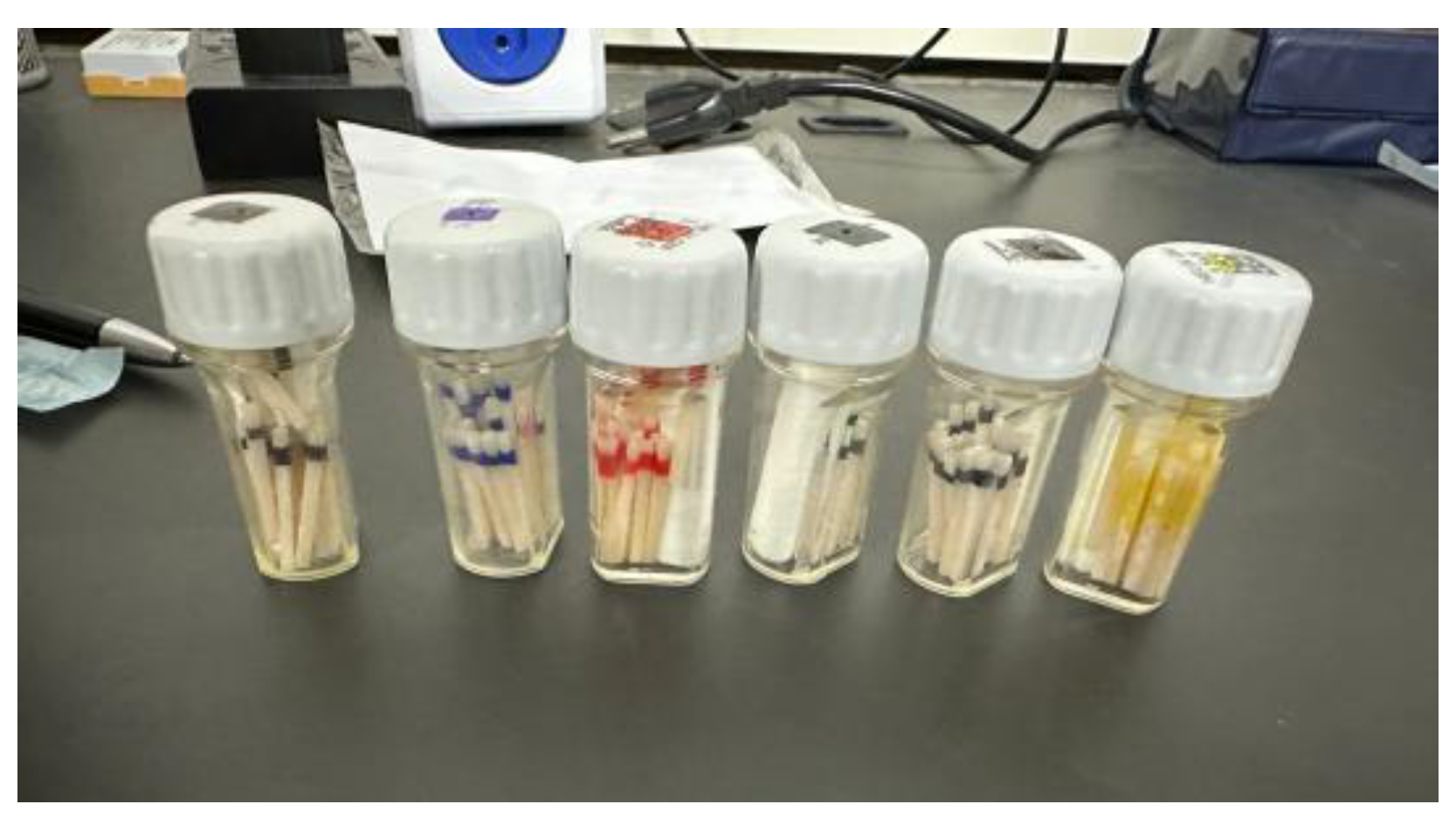 Preprints 149031 g003