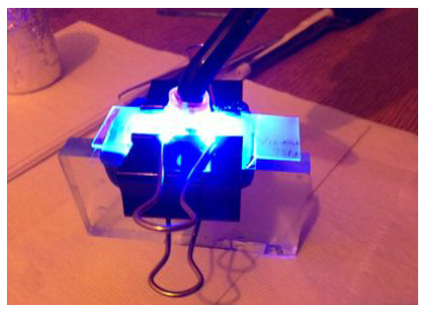 Preprints 149031 g005