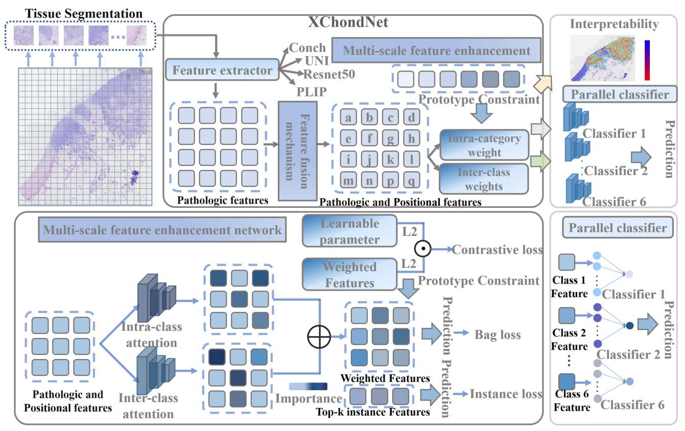 Preprints 229880 g002 Preprints 229880 g002