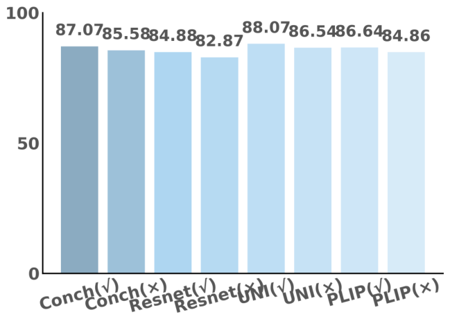 Preprints 229880 g007 Preprints 229880 g007