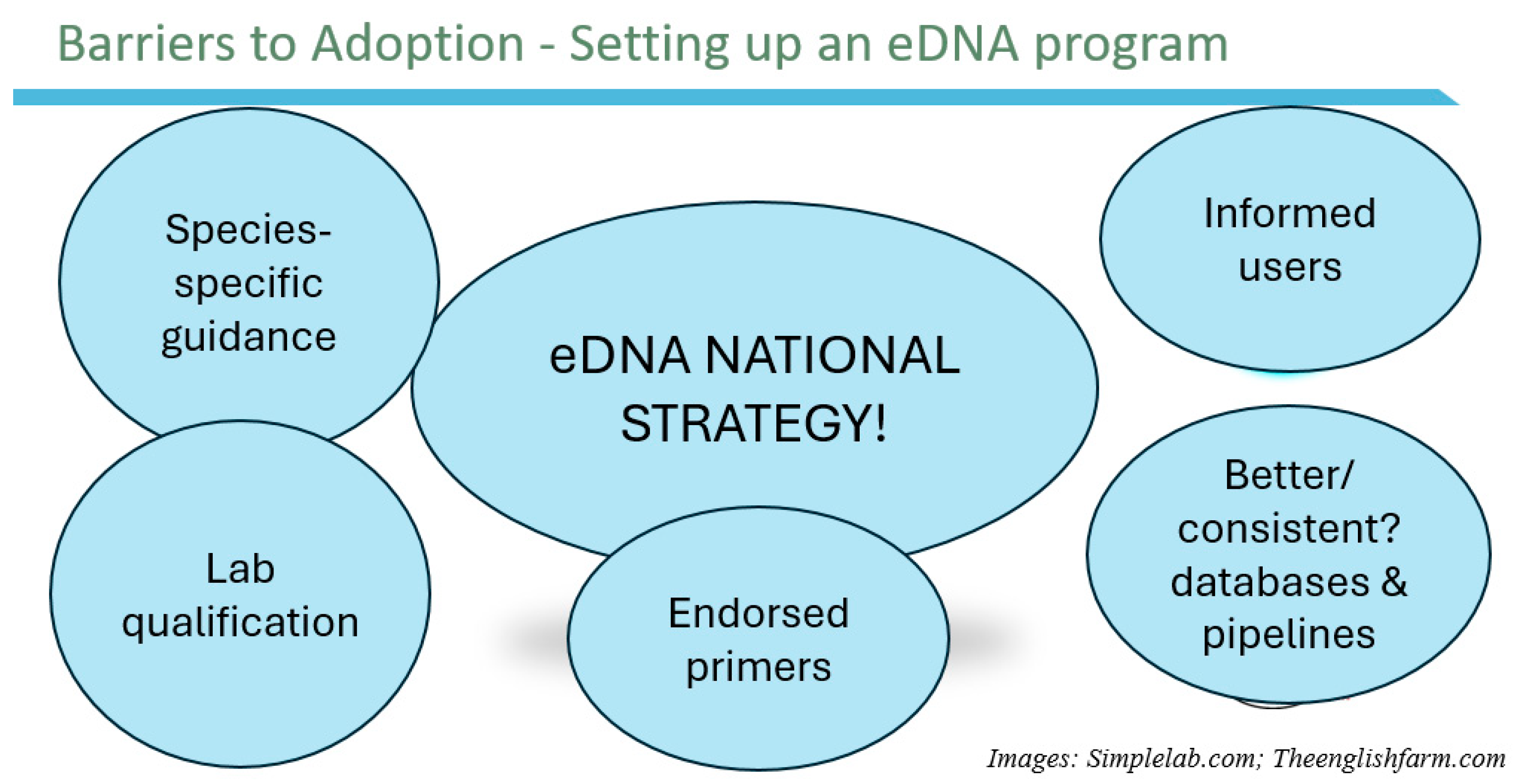 Preprints 111446 g002