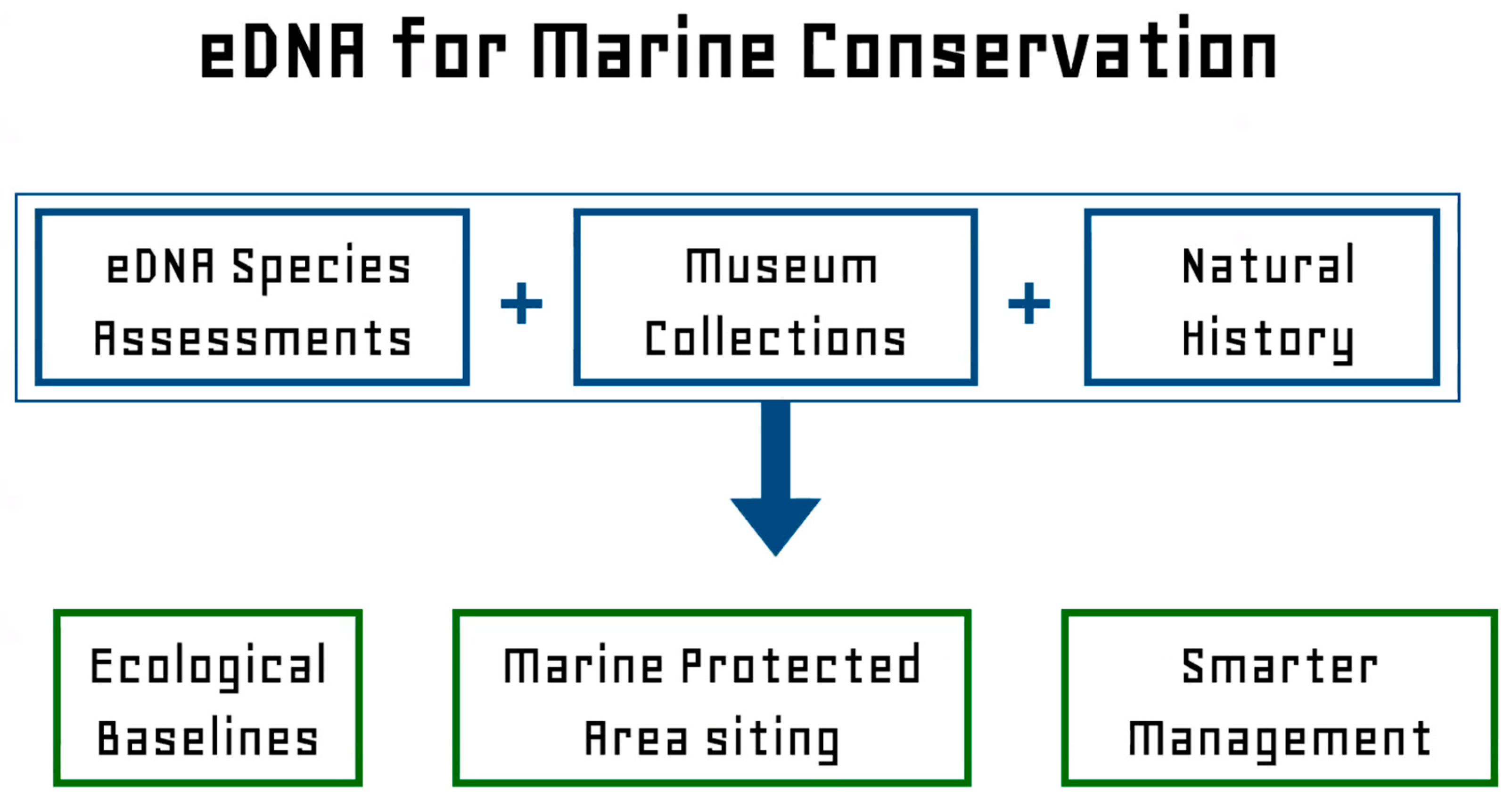 Preprints 111446 g003