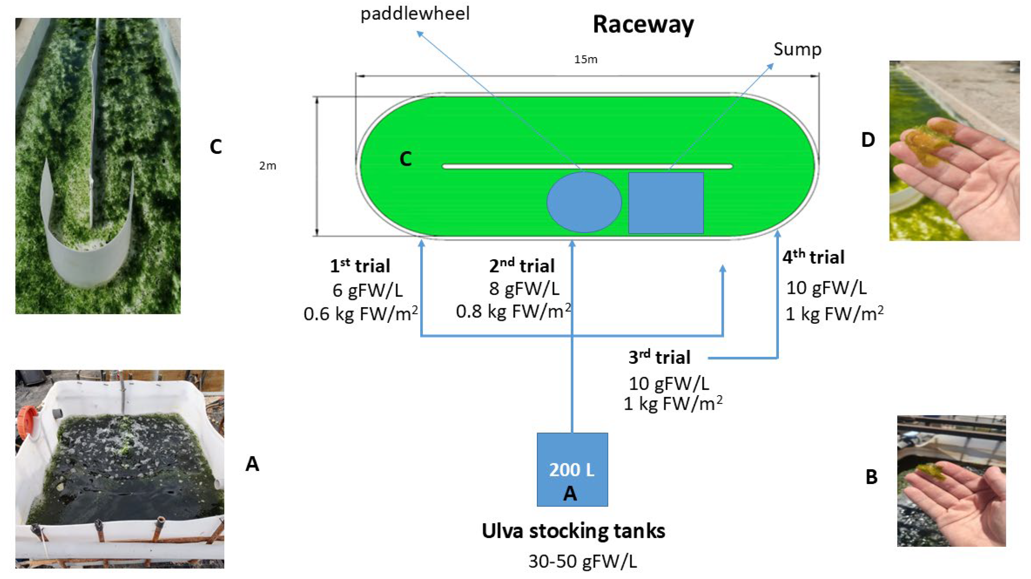 Preprints 119948 g004