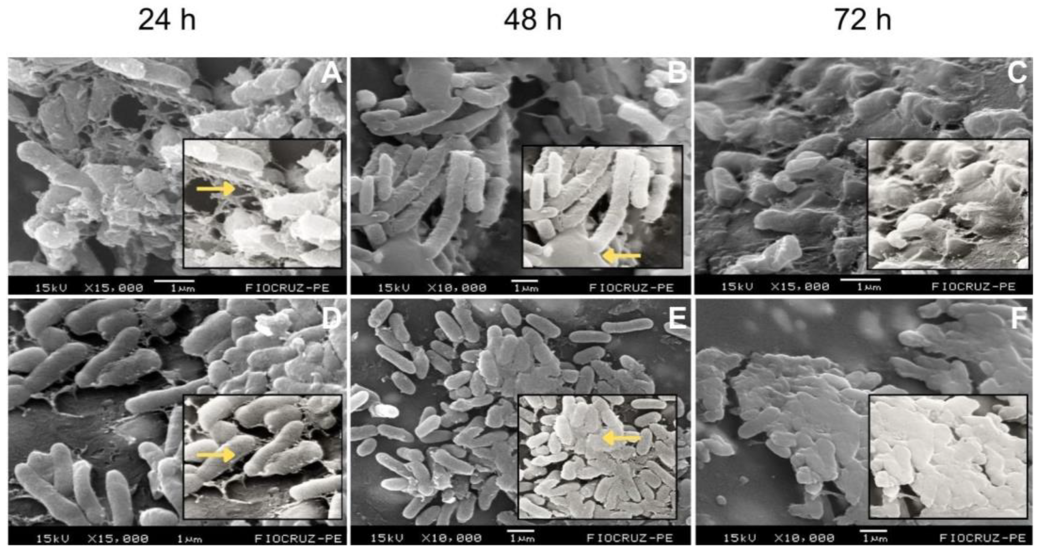 Preprints 189127 g001