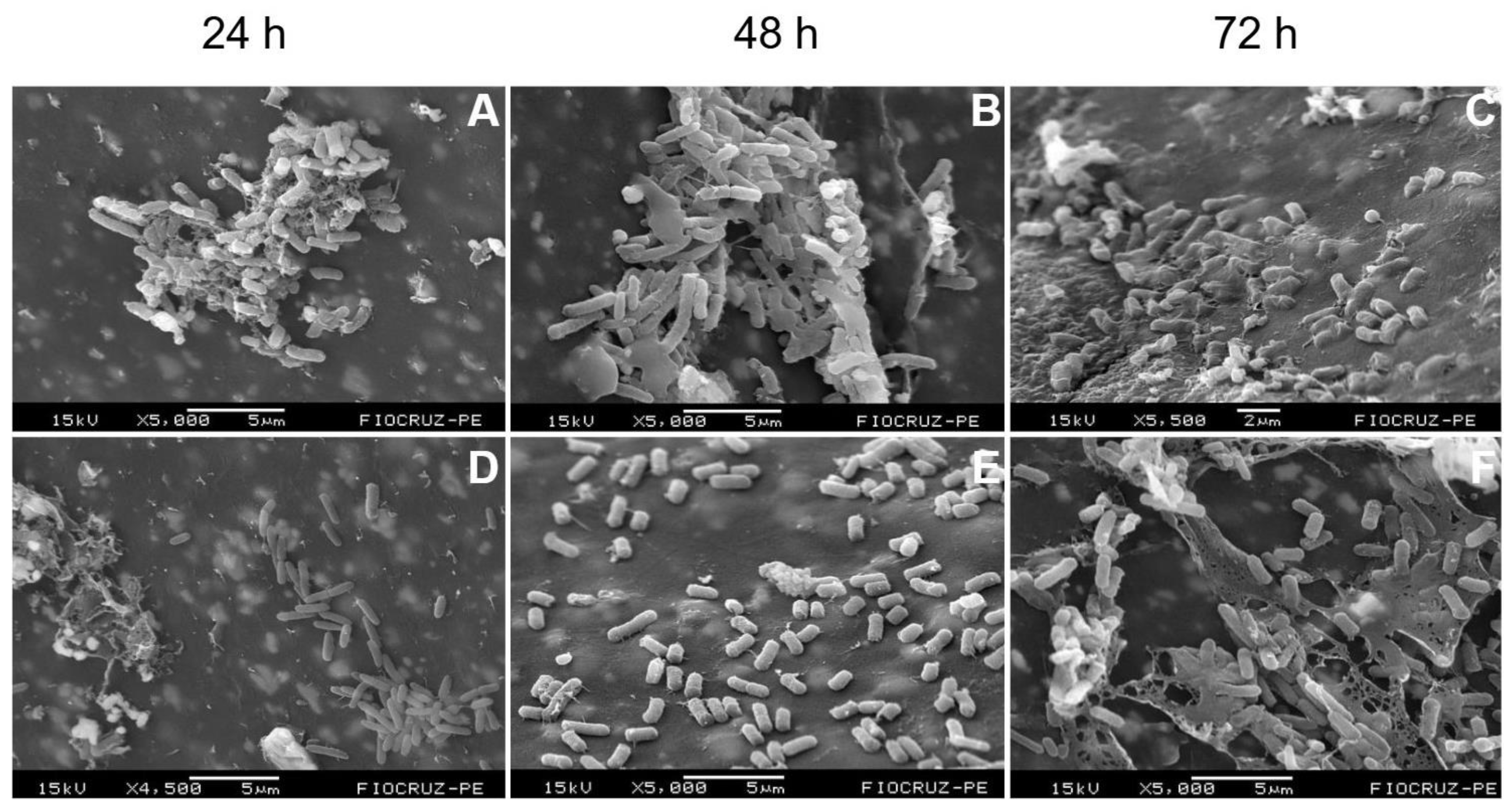 Preprints 189127 g002