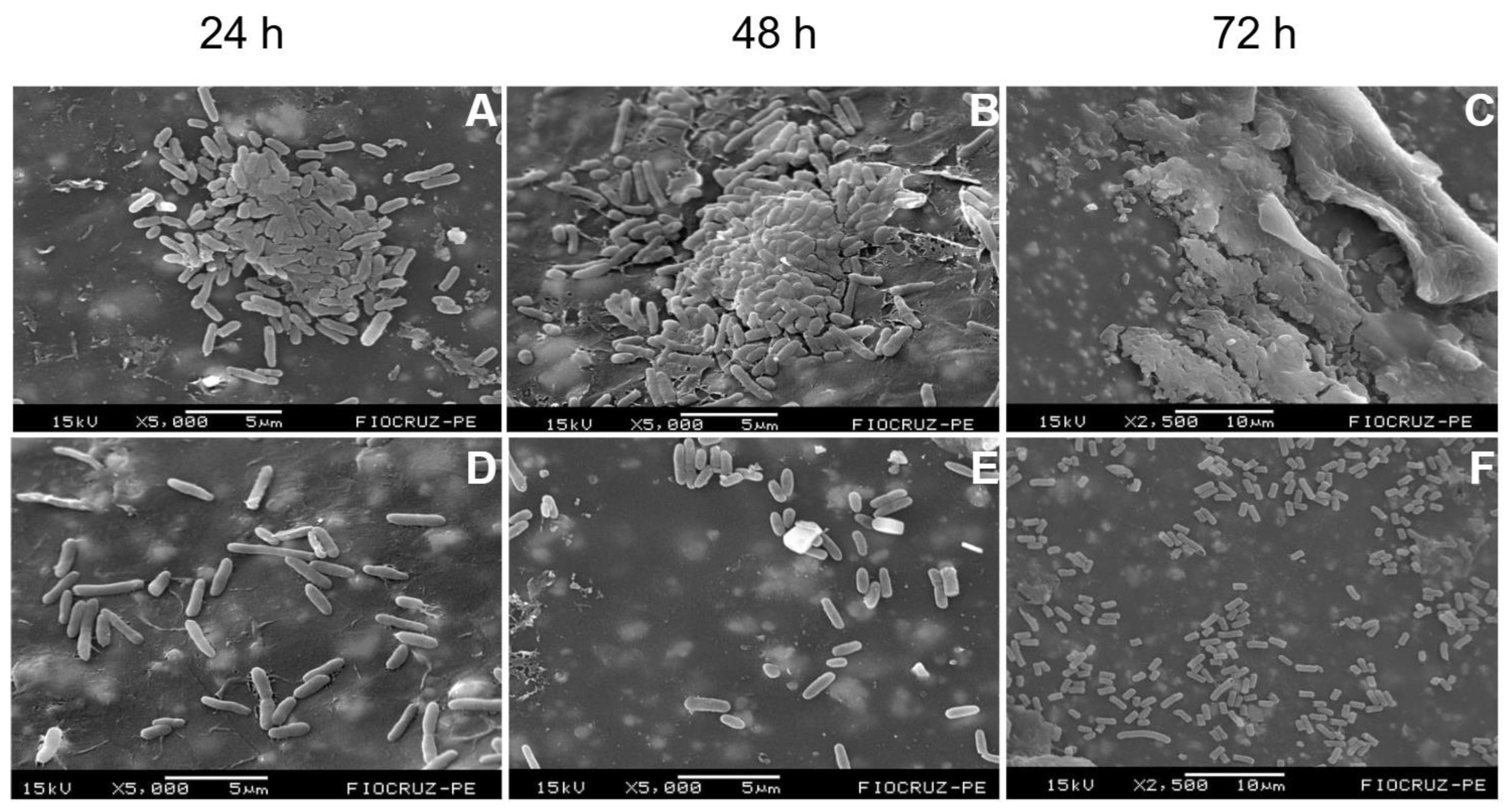 Preprints 189127 g003
