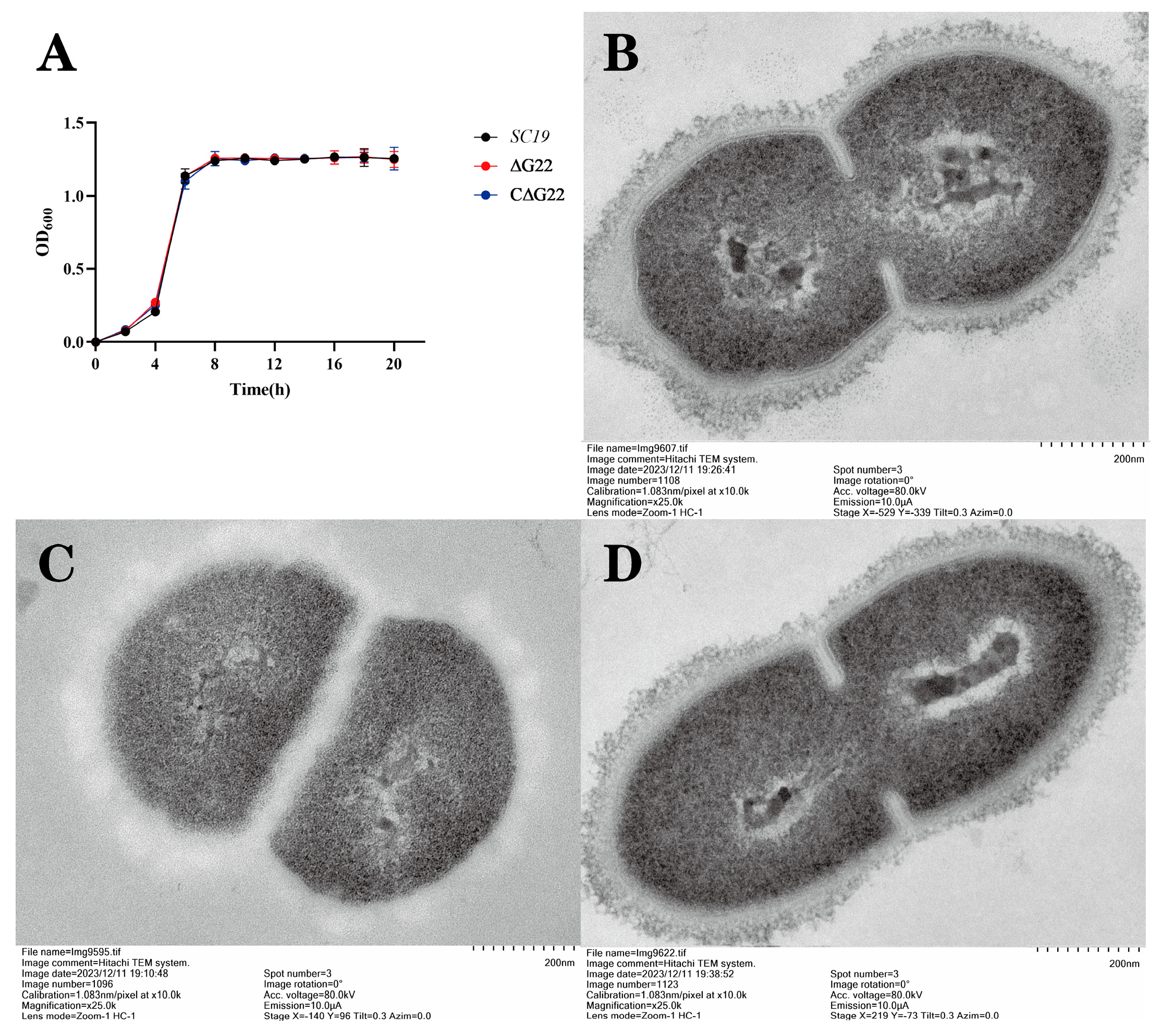 Preprints 148992 g002