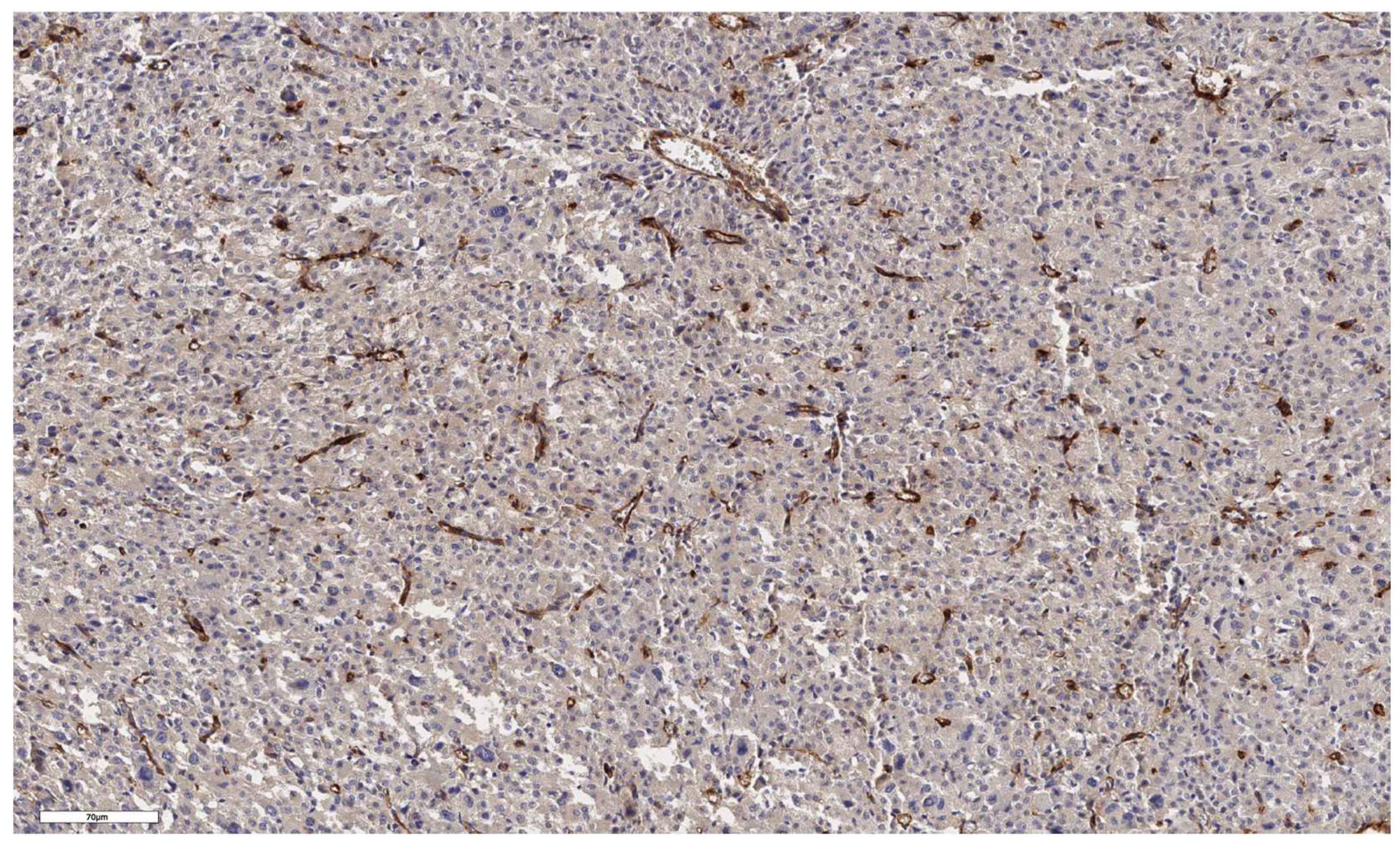 Preprints 139157 g002