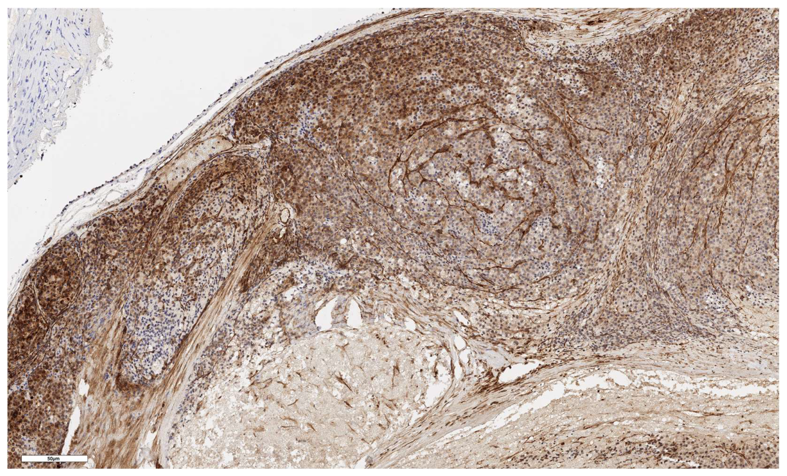 Preprints 139157 g003