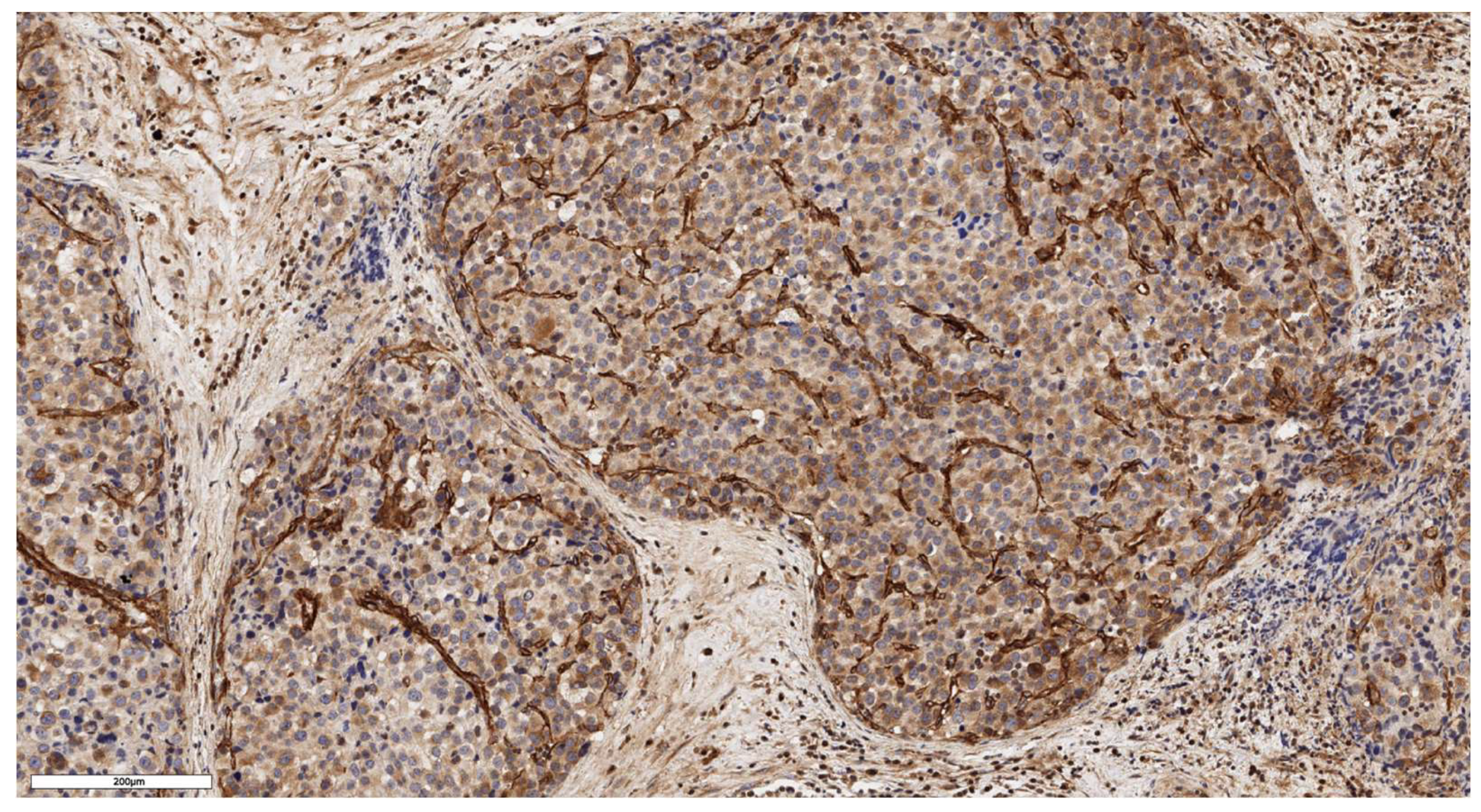 Preprints 139157 g004