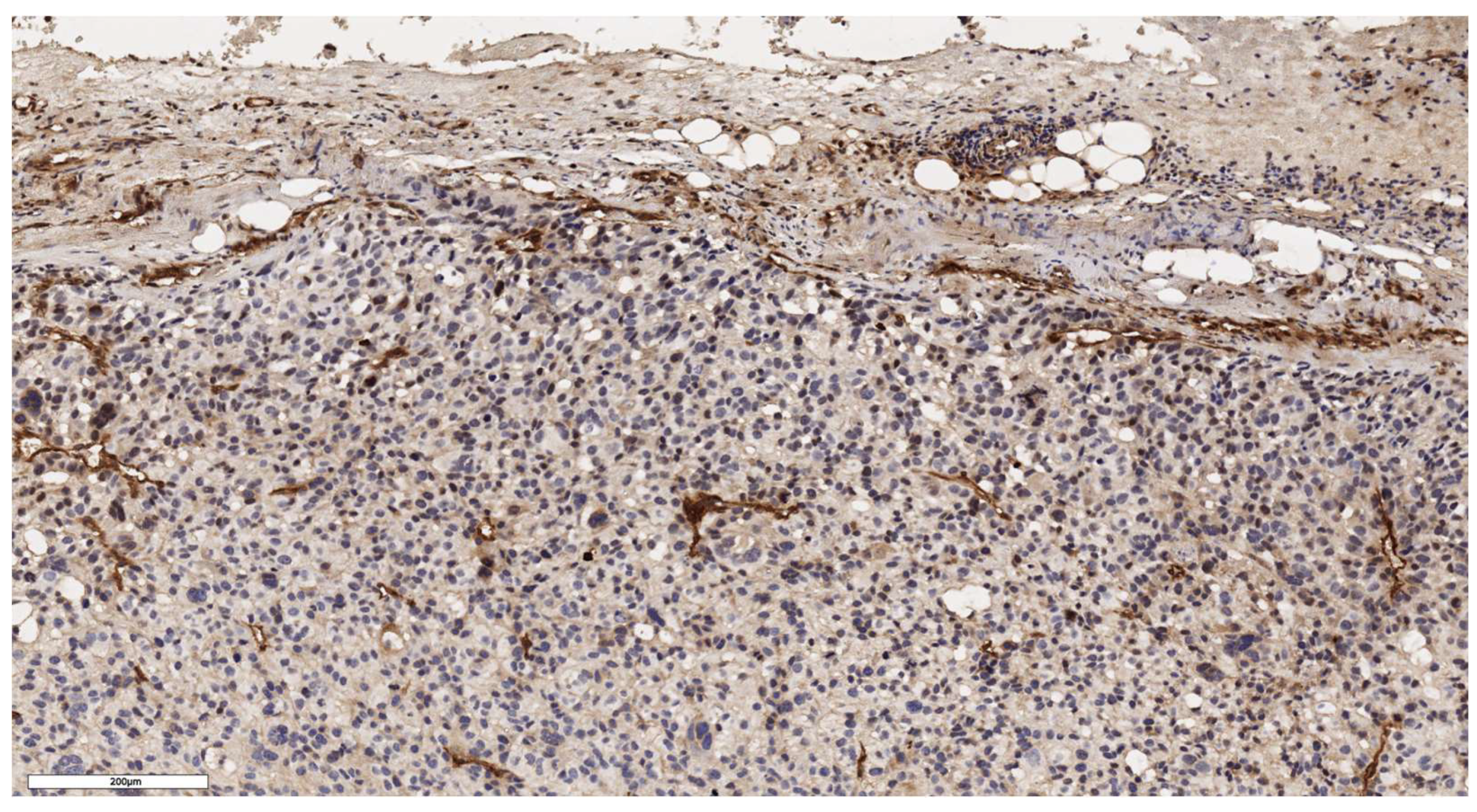 Preprints 139157 g005