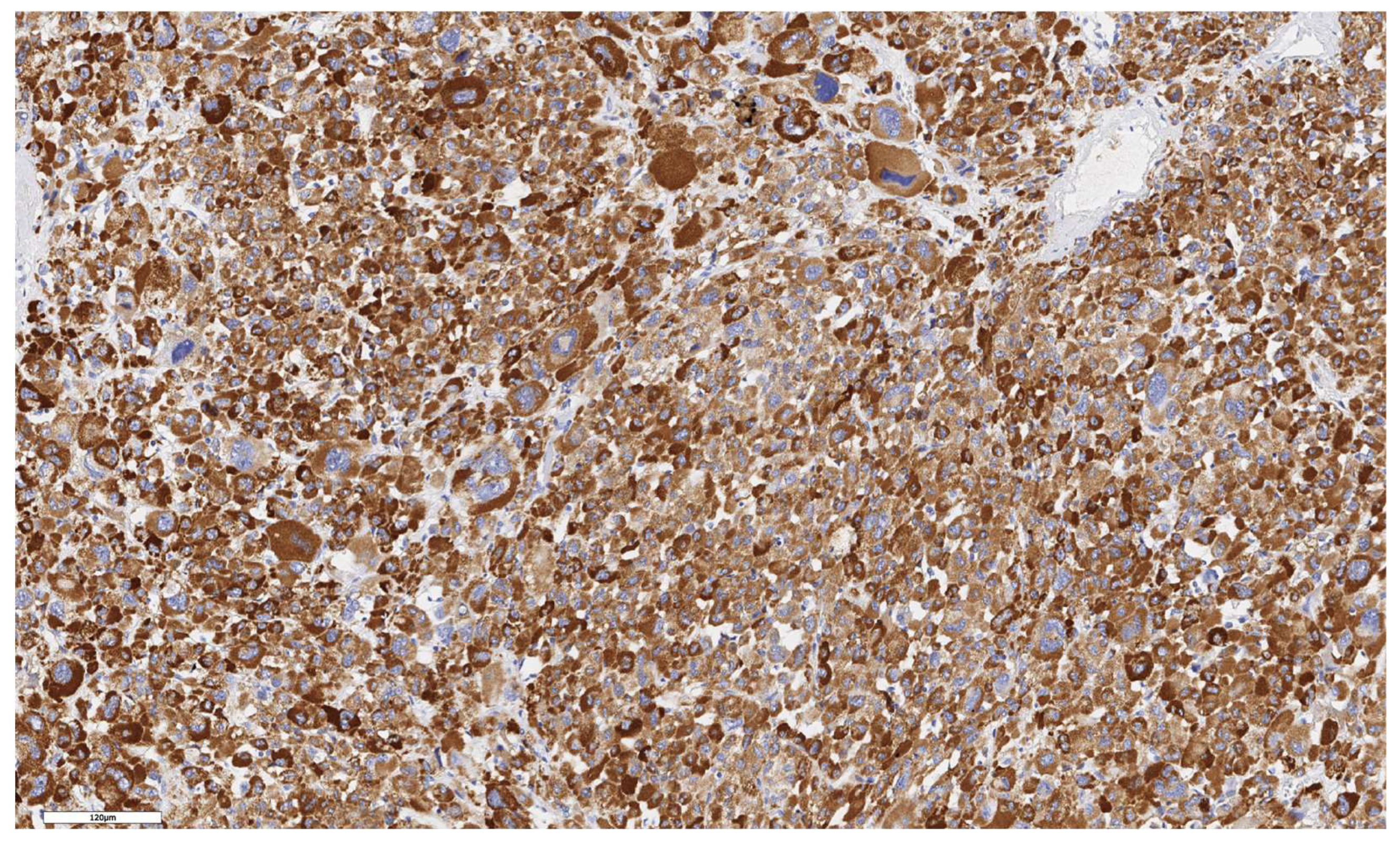 Preprints 139157 g007