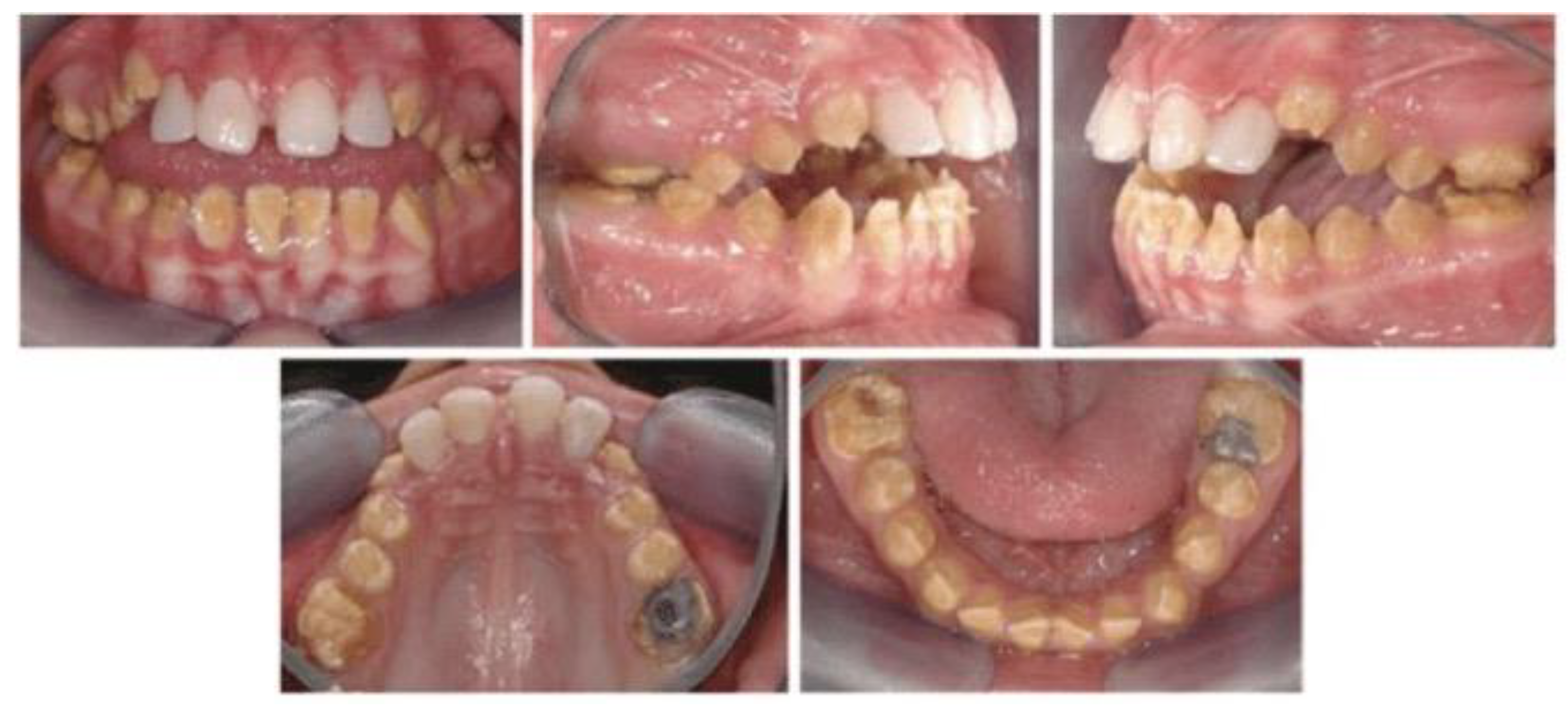 Preprints 177748 g001