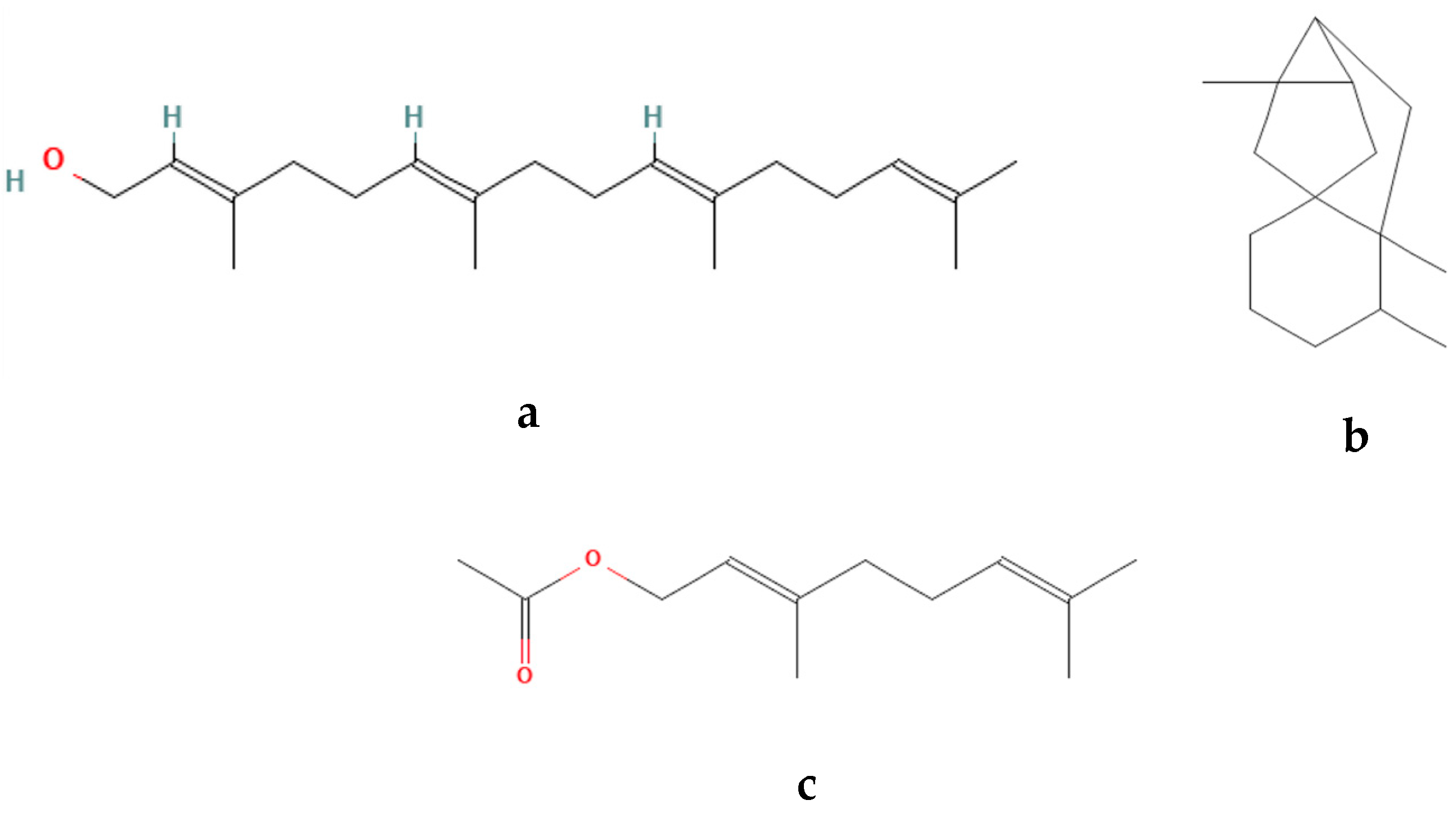 Preprints 191044 g003