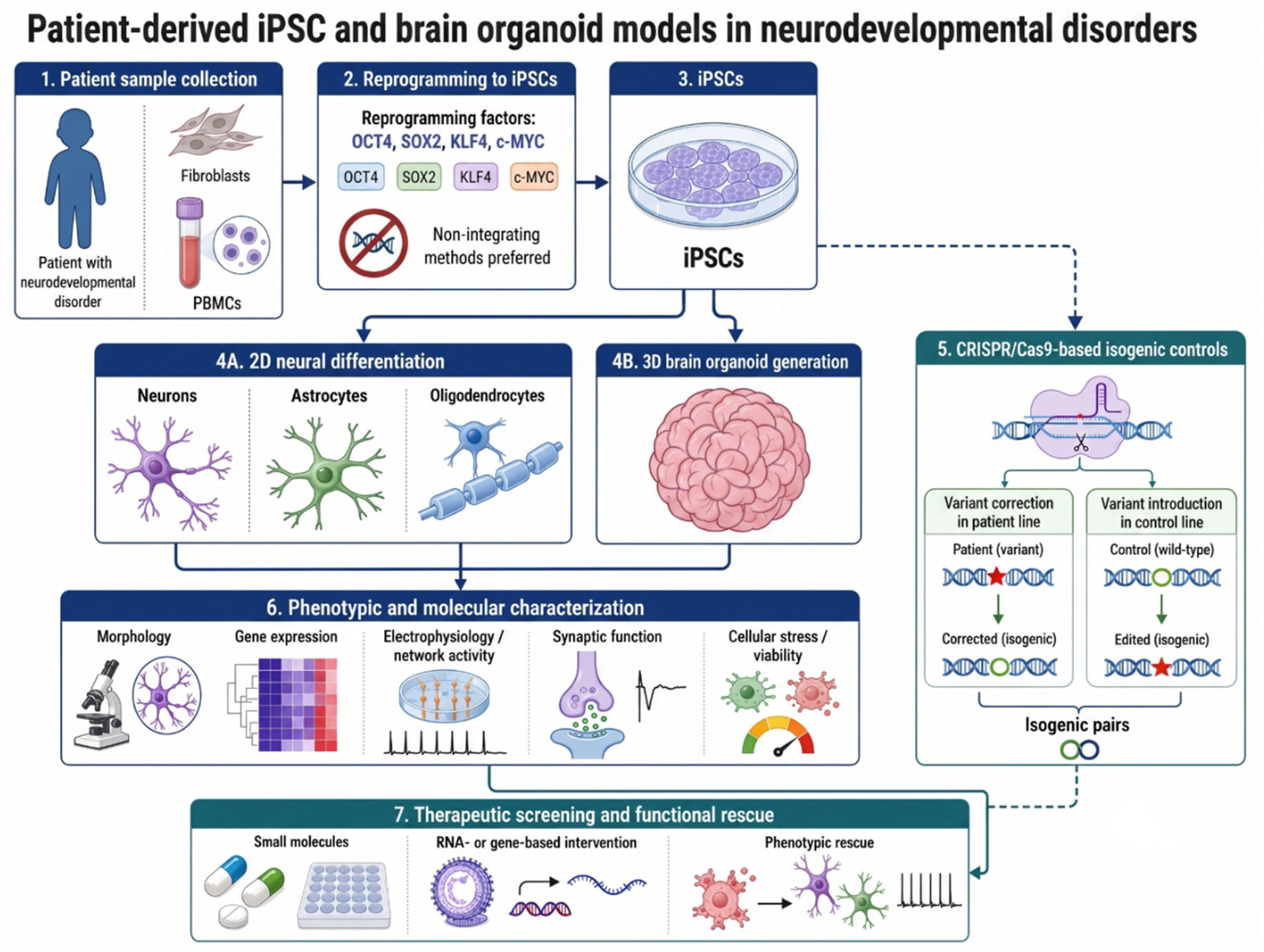 Preprints 228049 g002