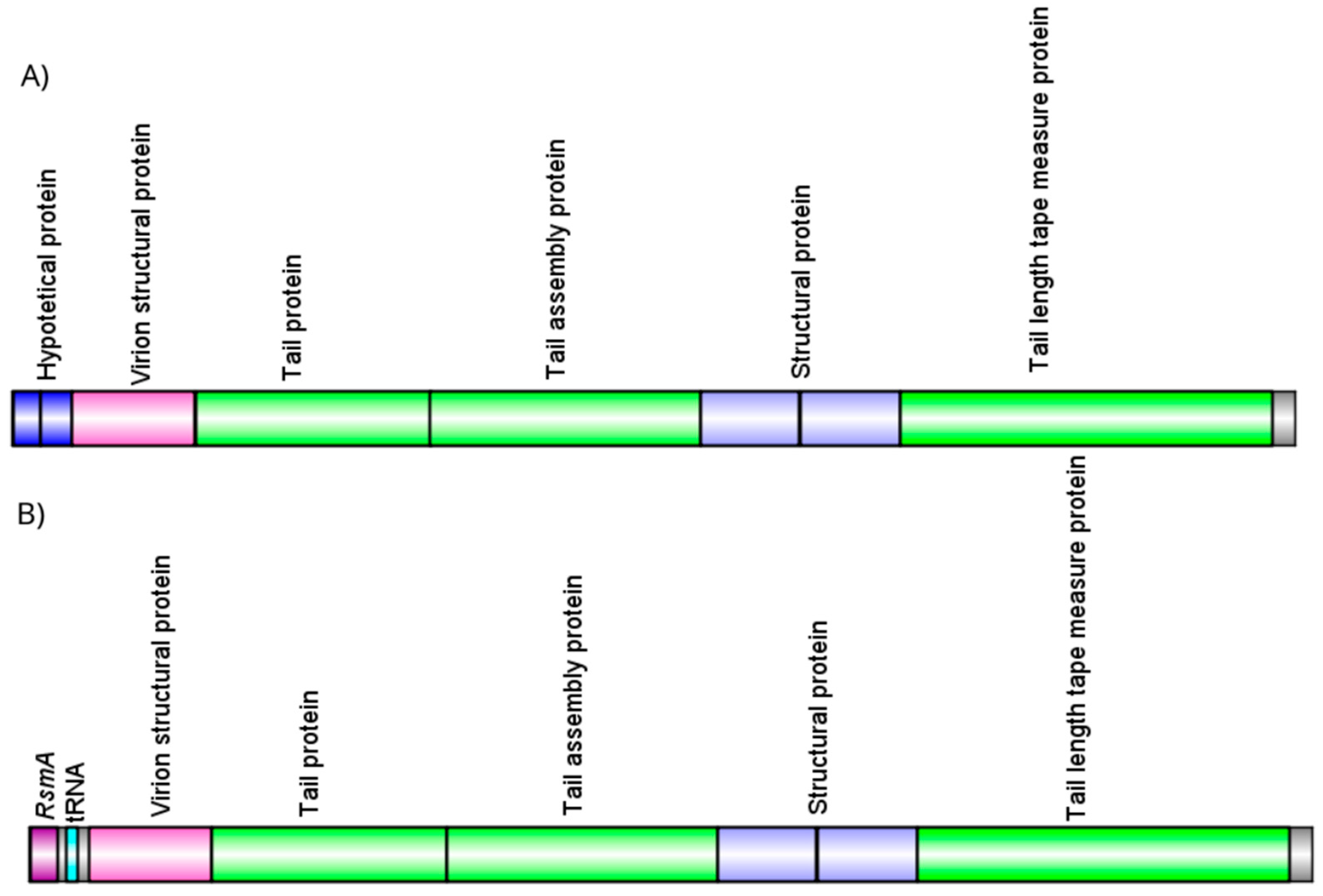 Preprints 159719 g006