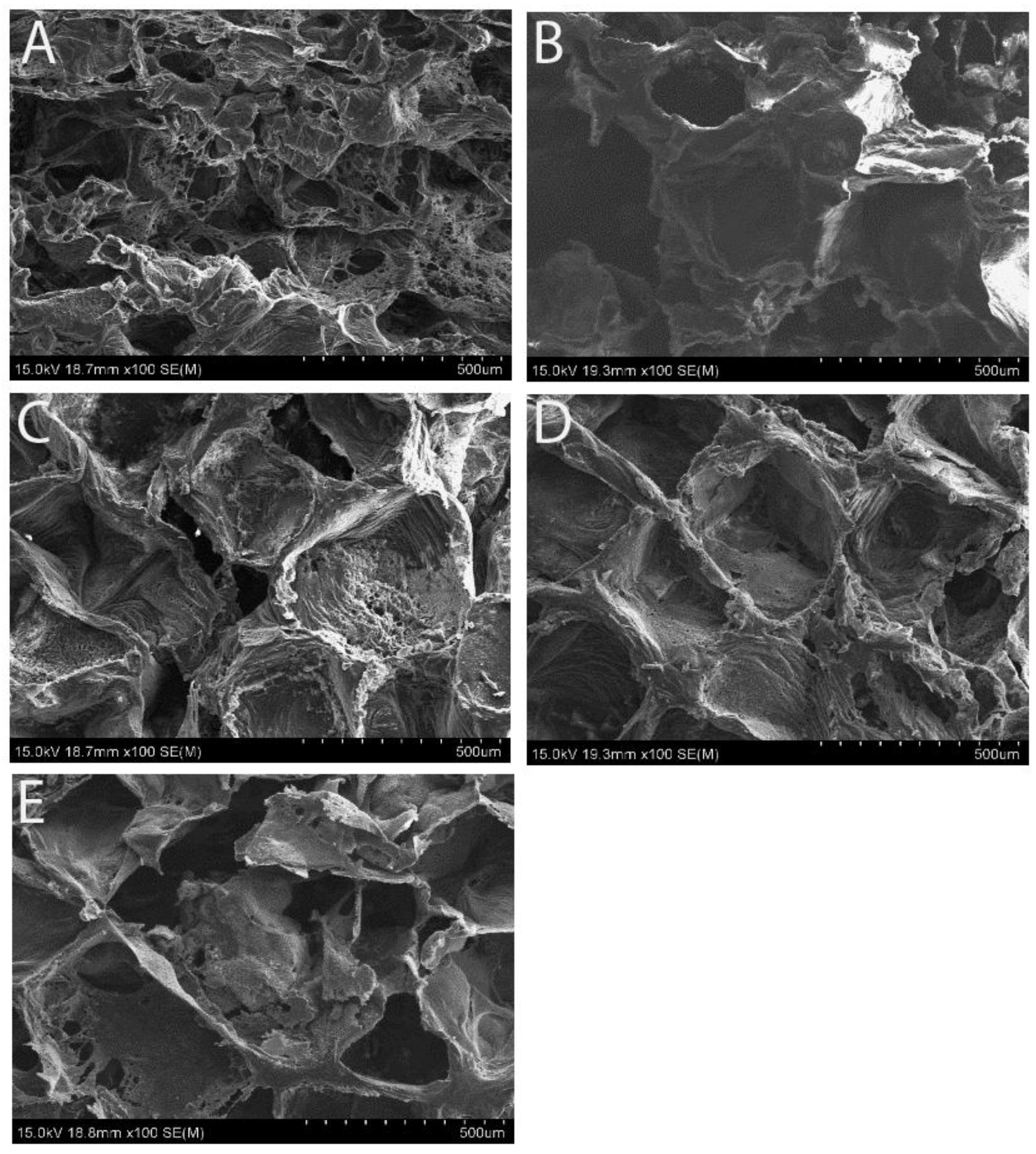 Preprints 147601 g001