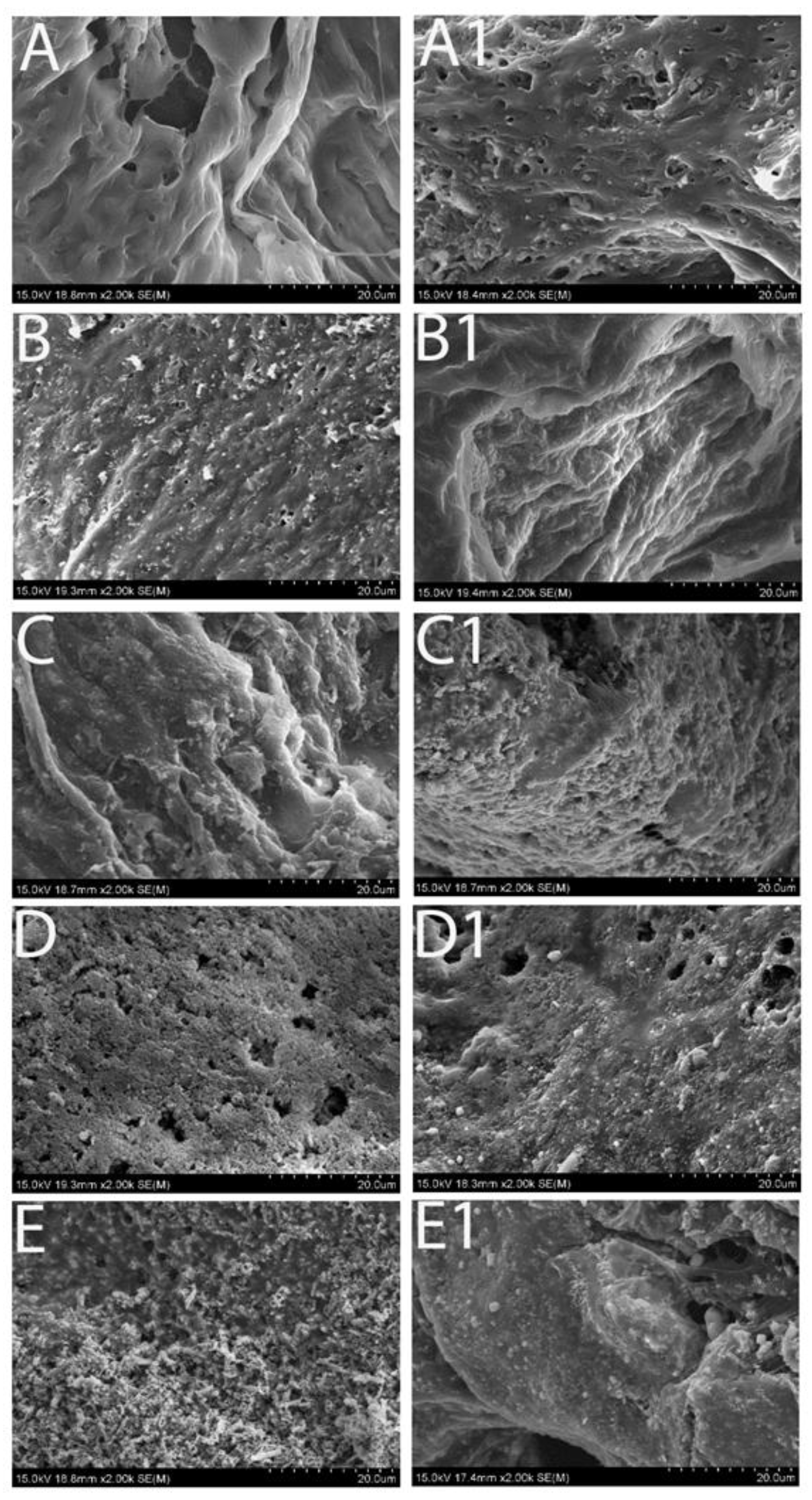 Preprints 147601 g002