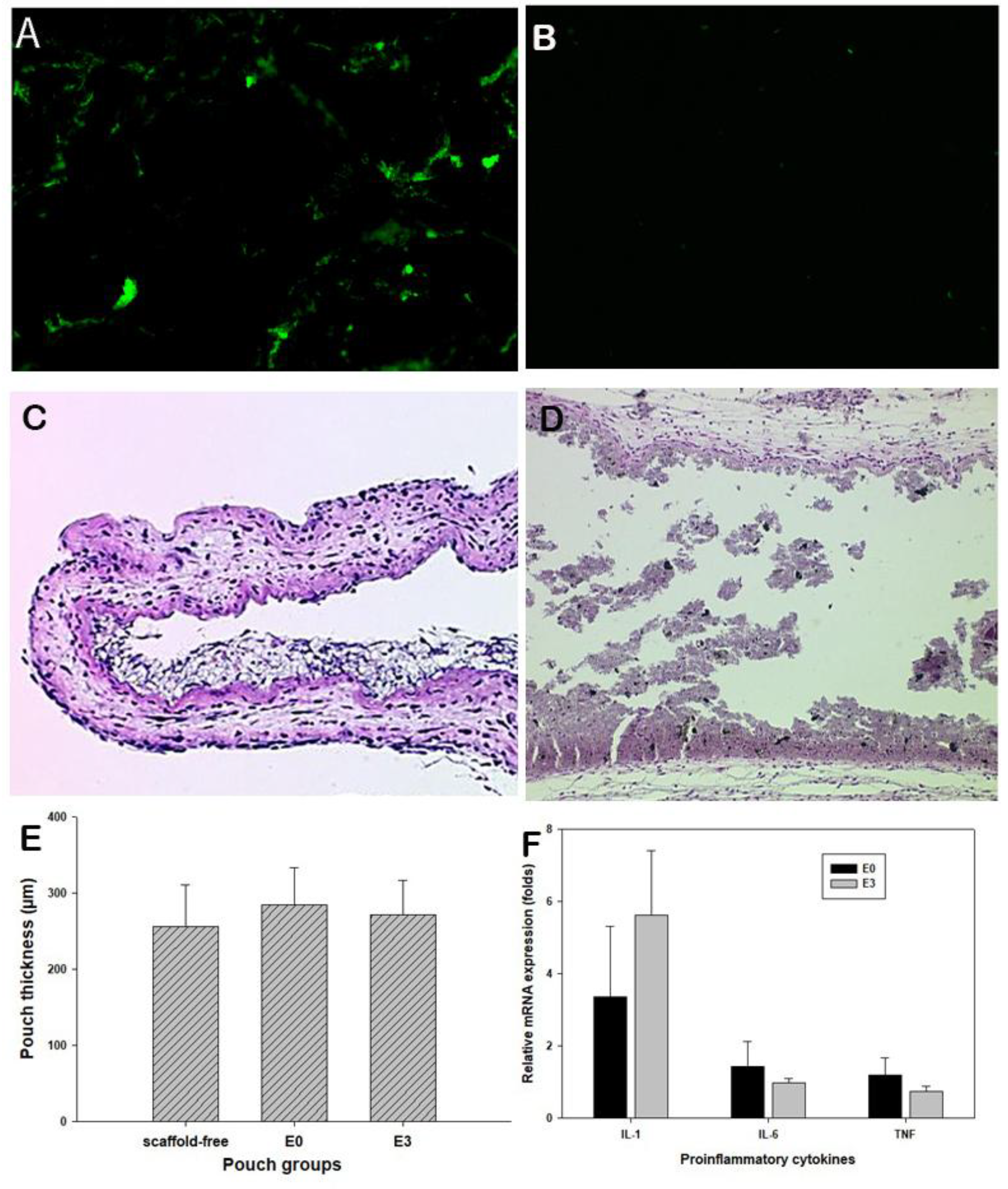 Preprints 147601 g004