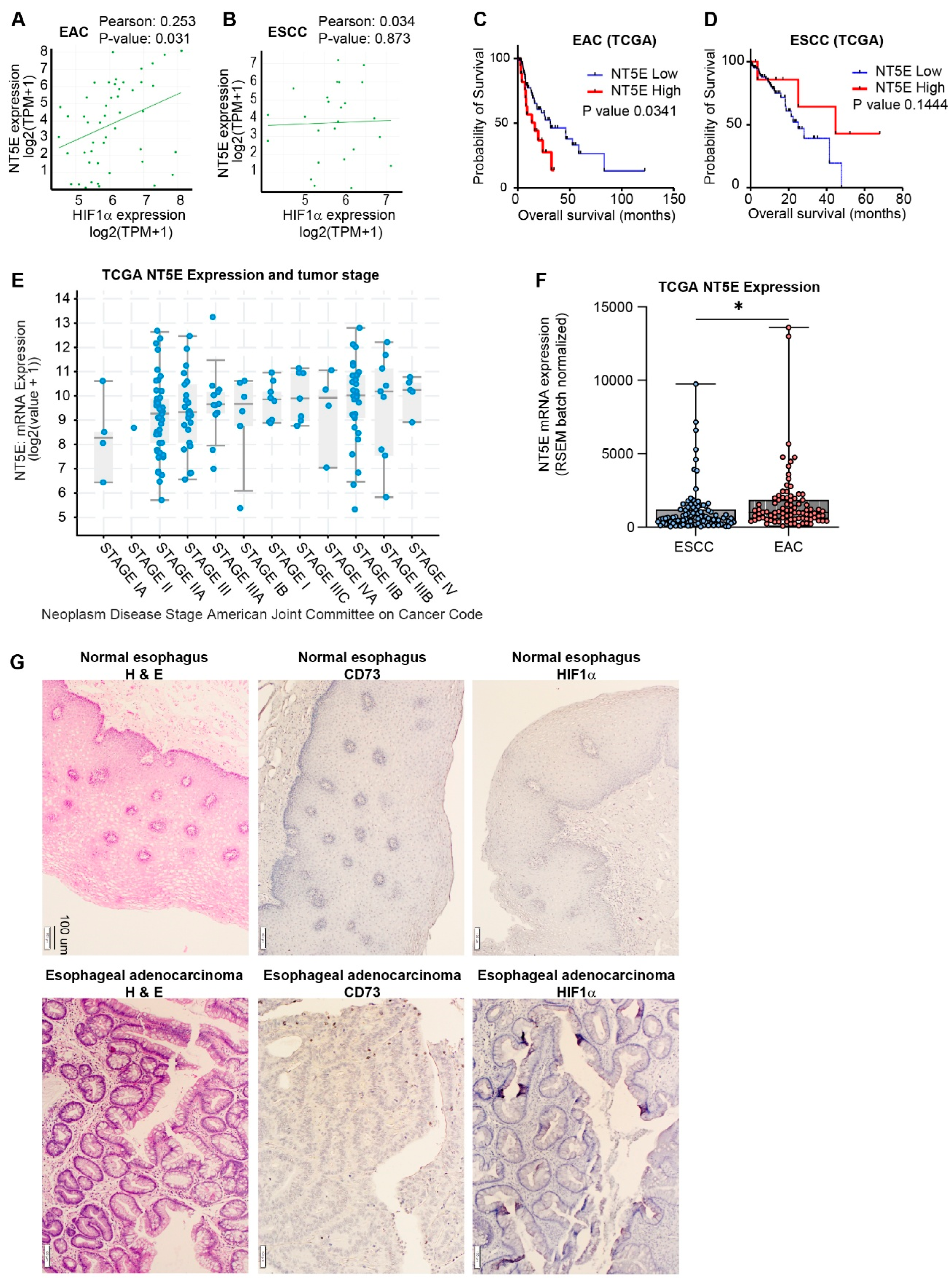 Preprints 182490 g001