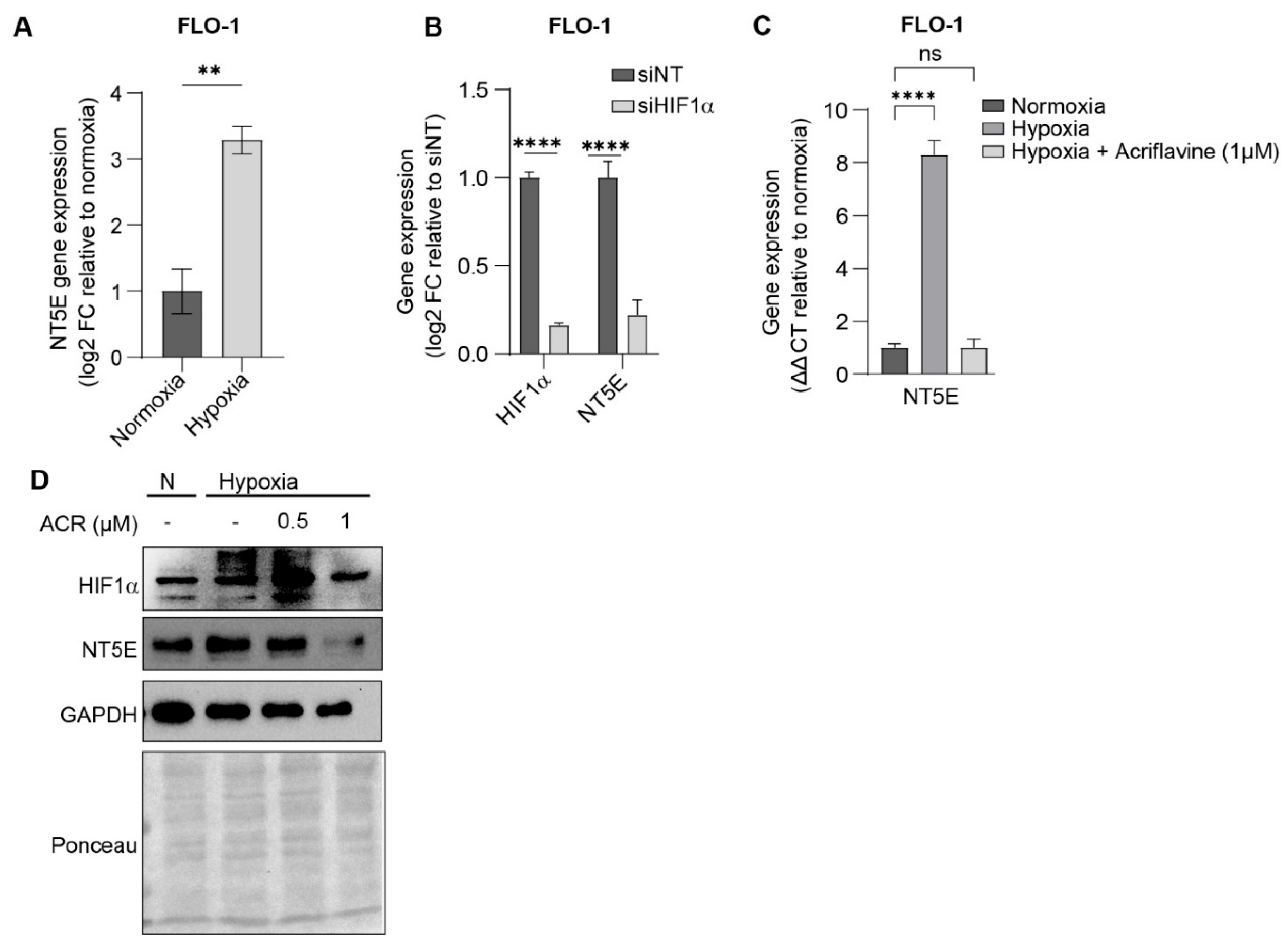 Preprints 182490 g002