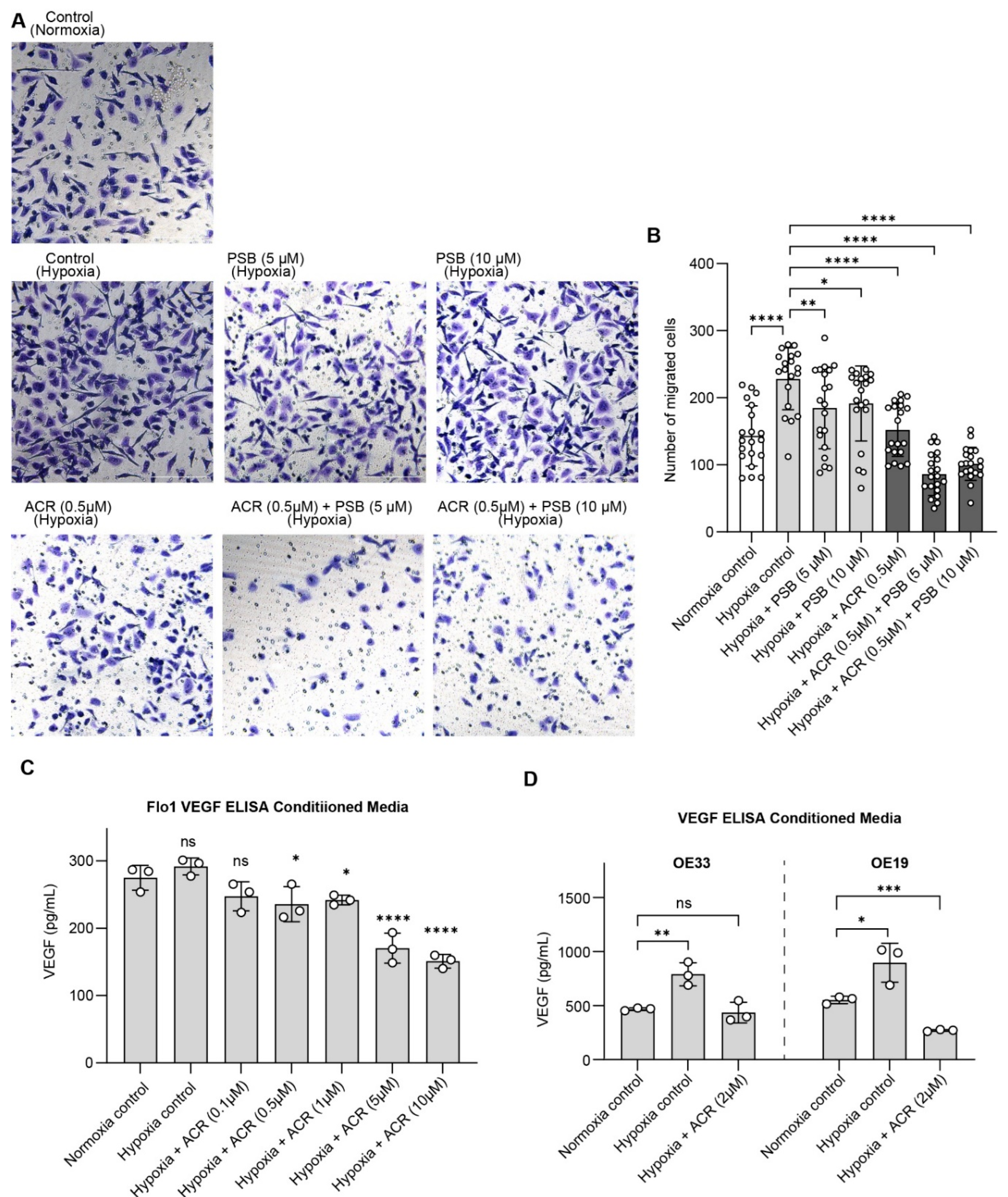 Preprints 182490 g005
