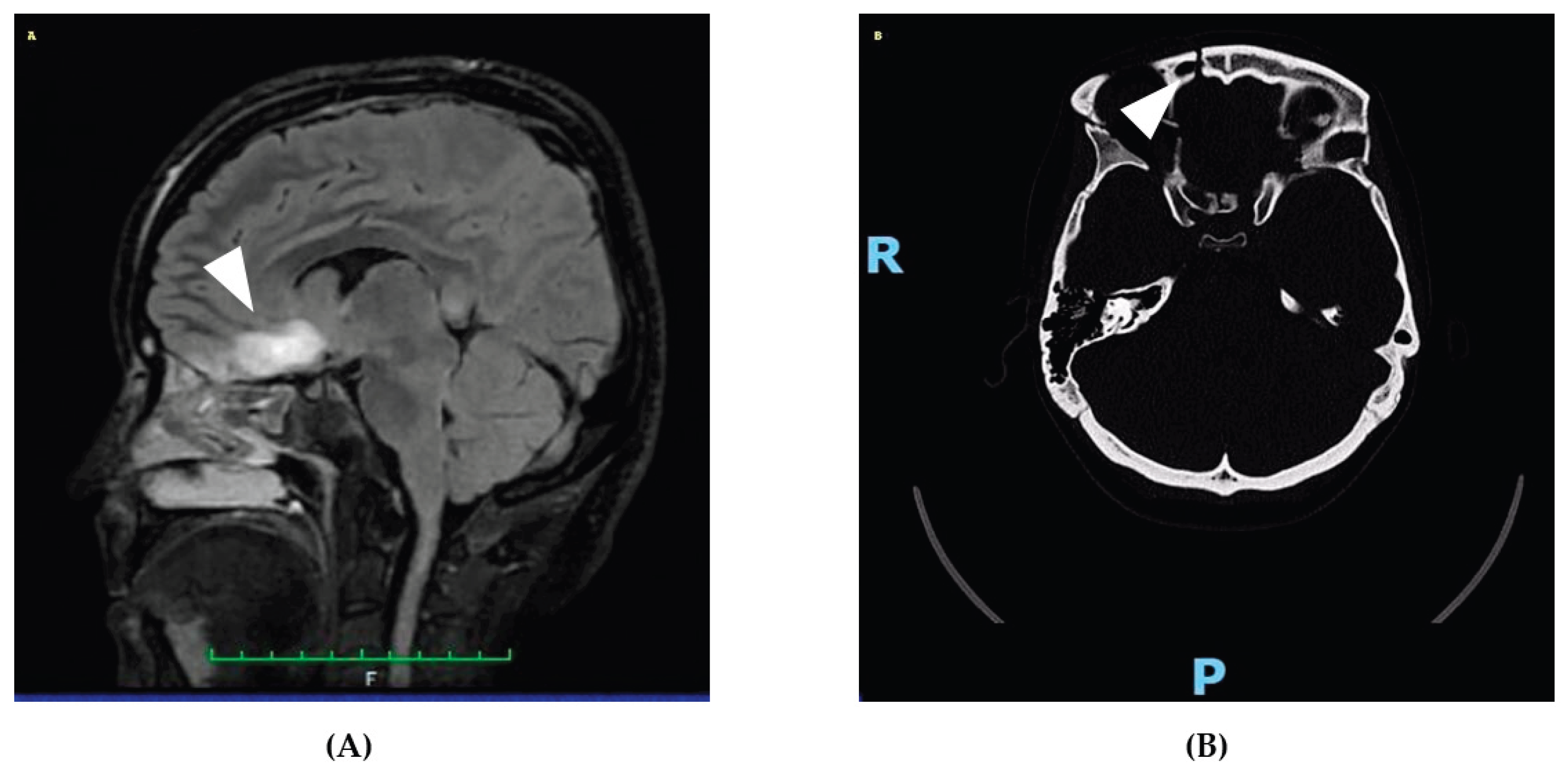 Preprints 186542 g001