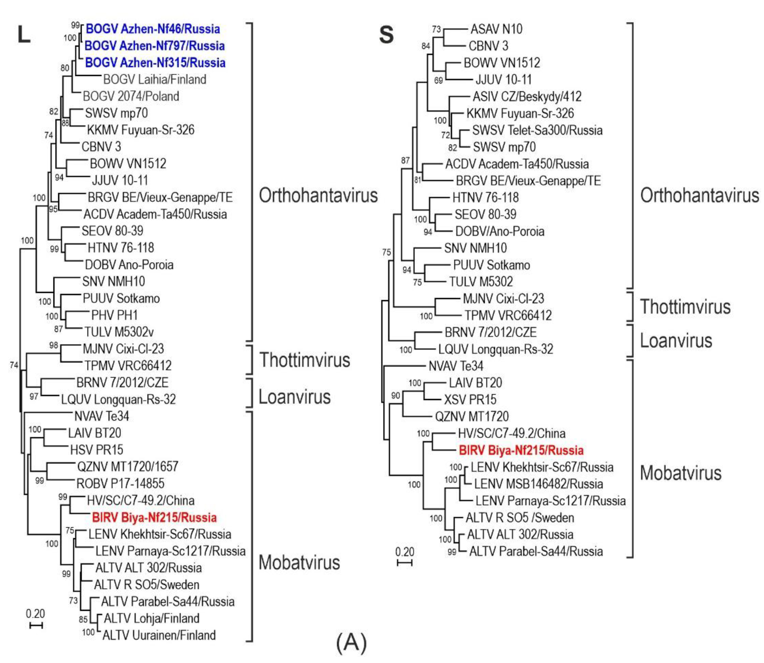 Preprints 179058 g002a