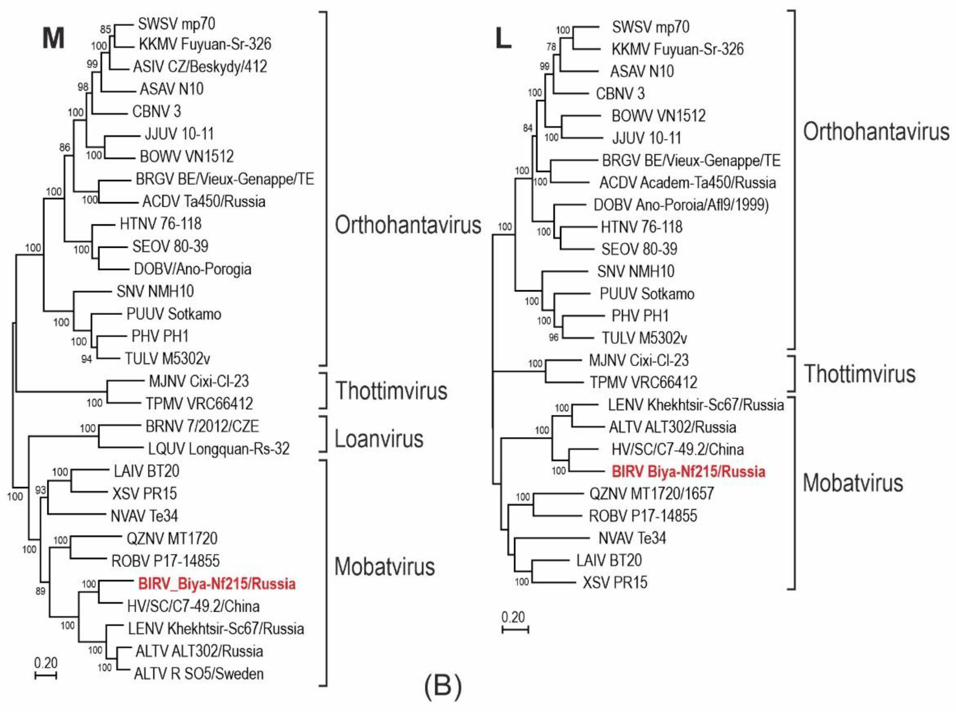 Preprints 179058 g002b
