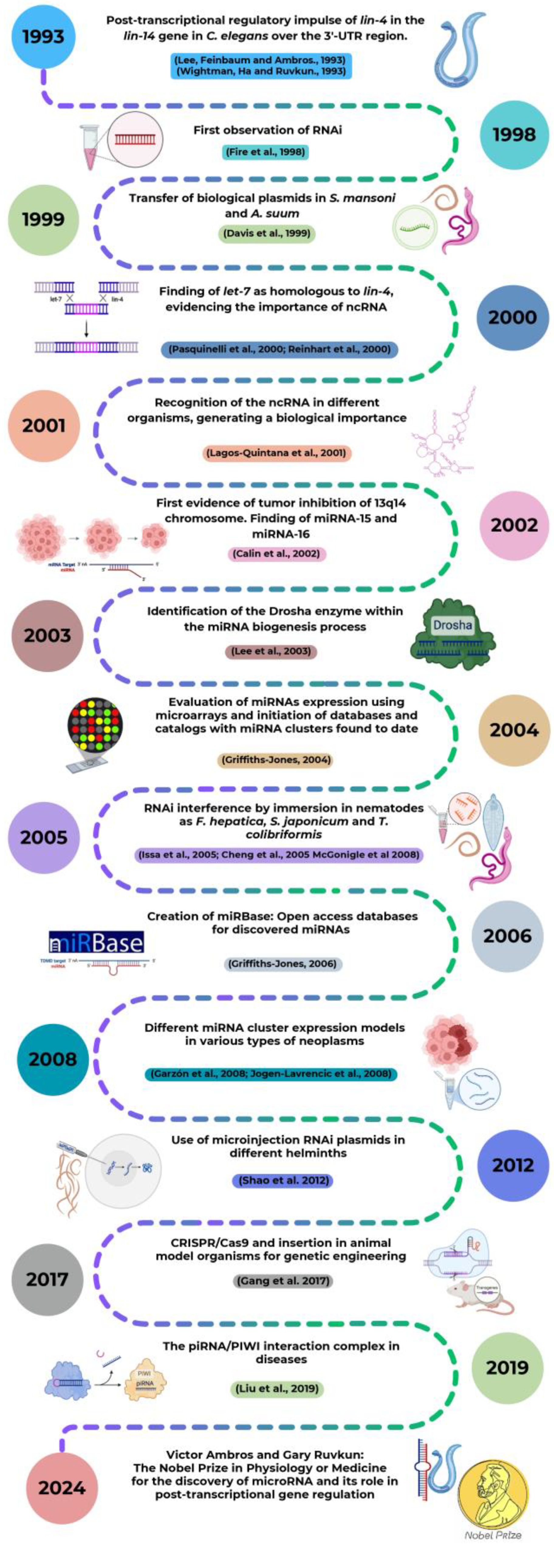 Preprints 140668 g001