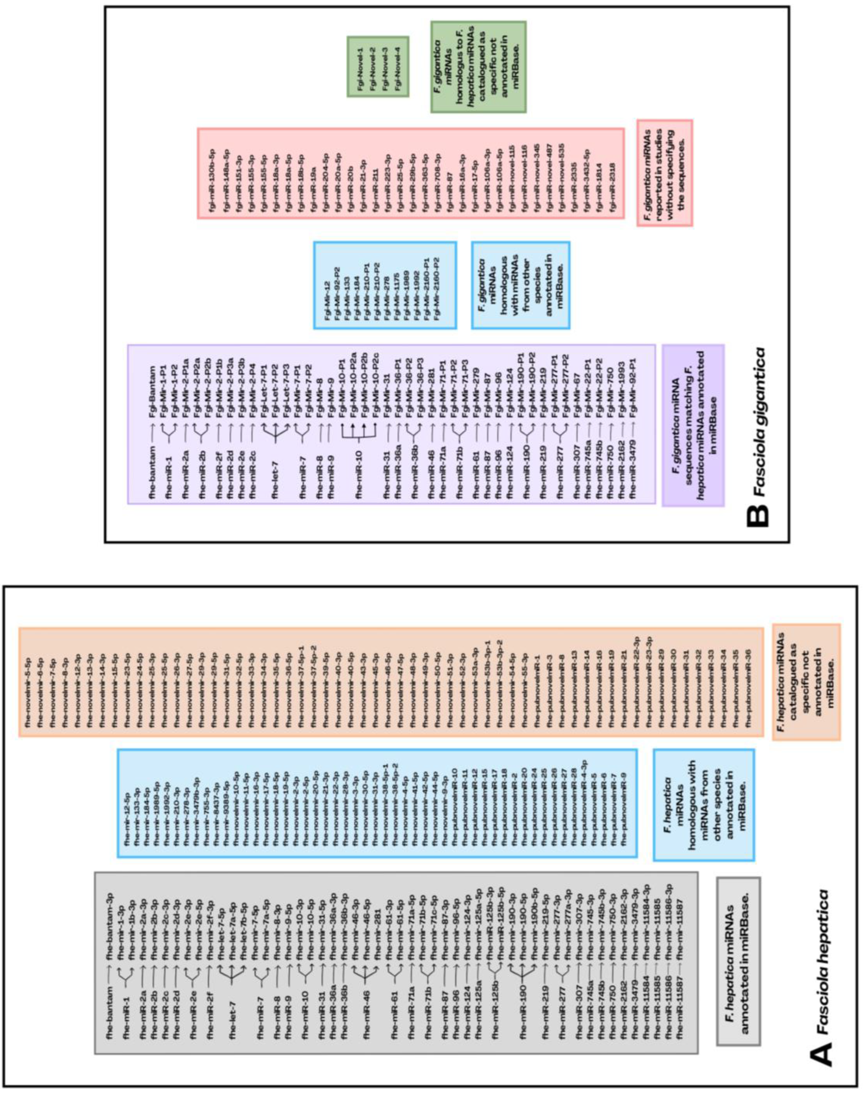 Preprints 140668 g003