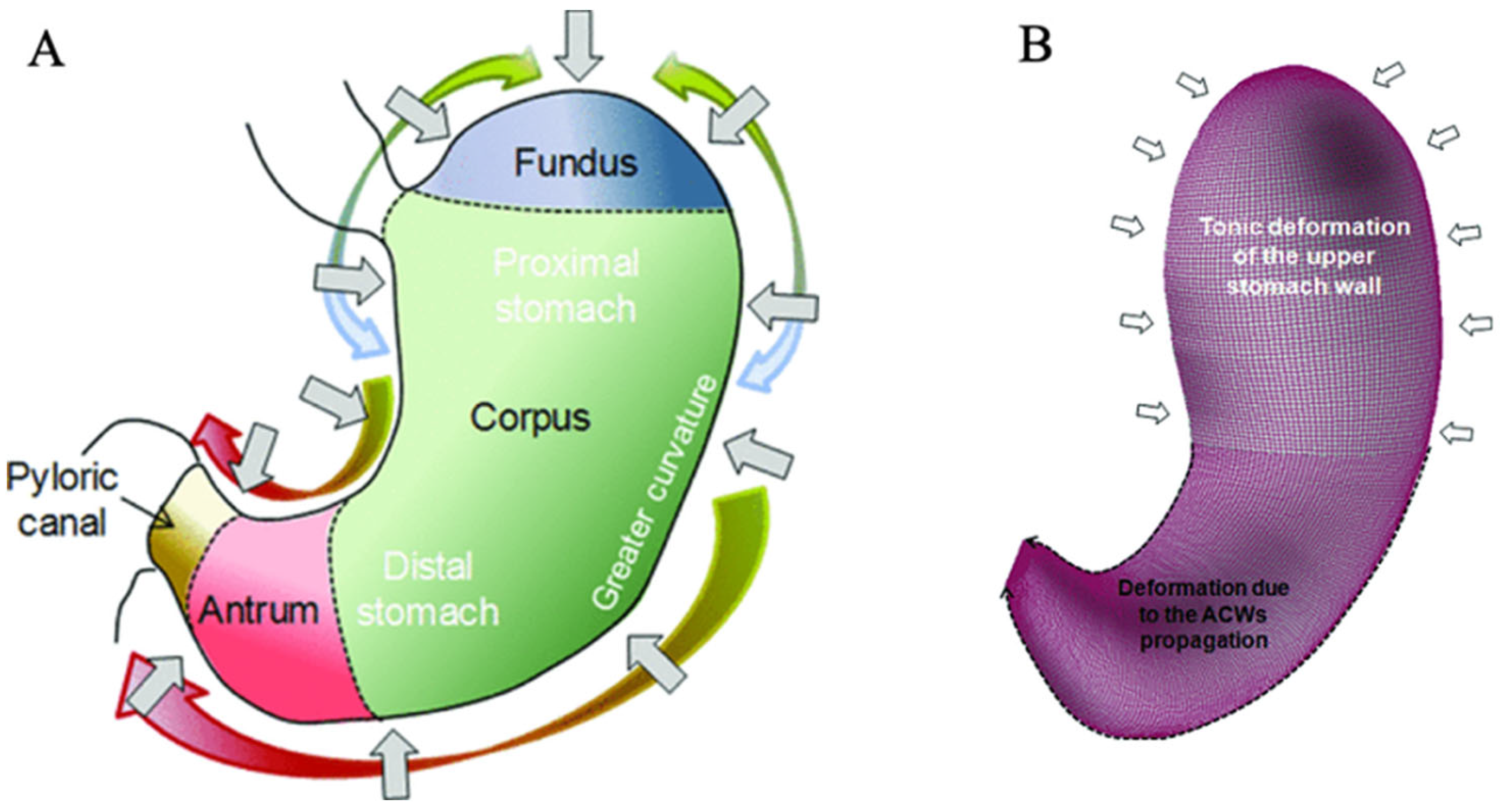 Preprints 94644 g003