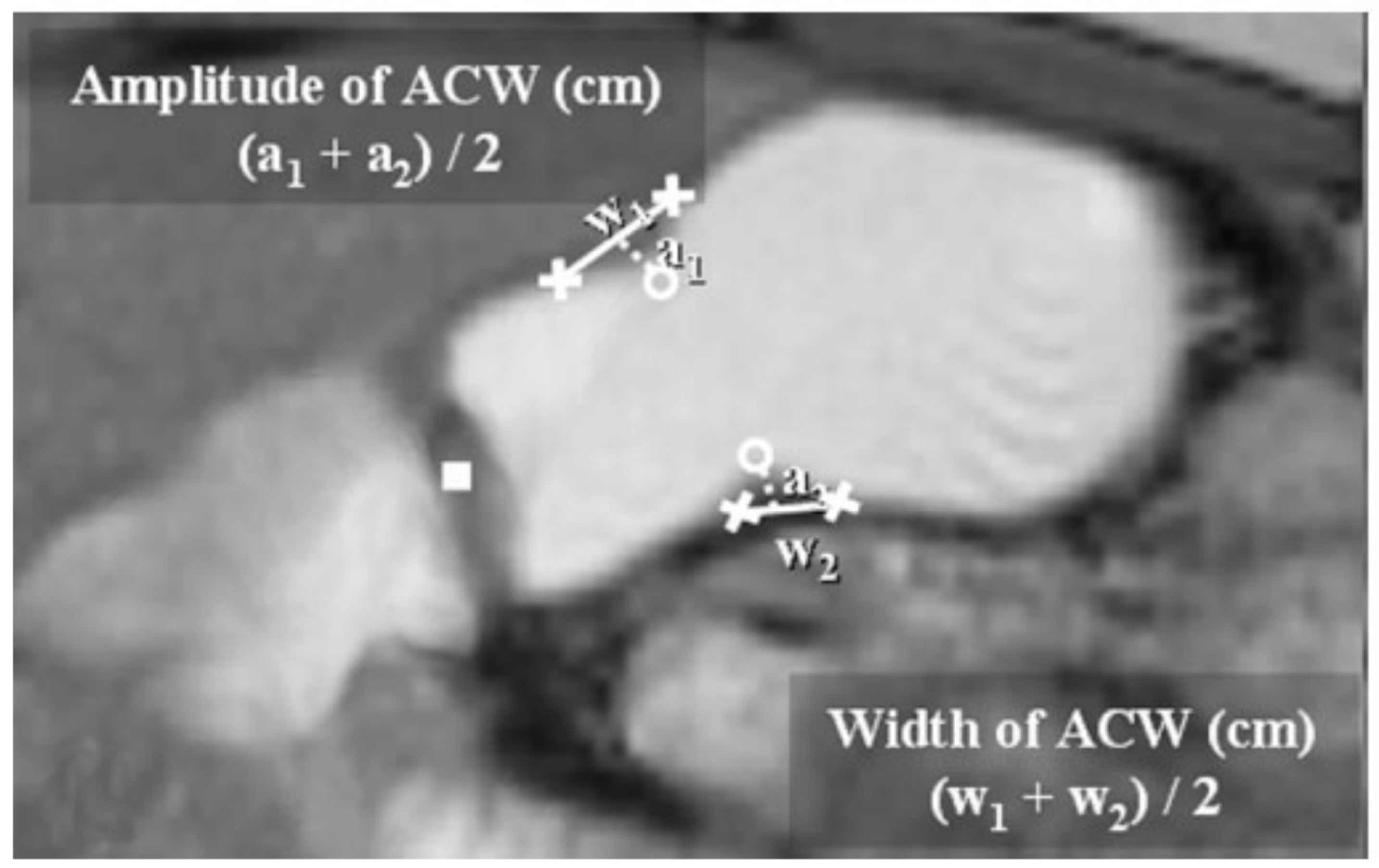 Preprints 94644 g004