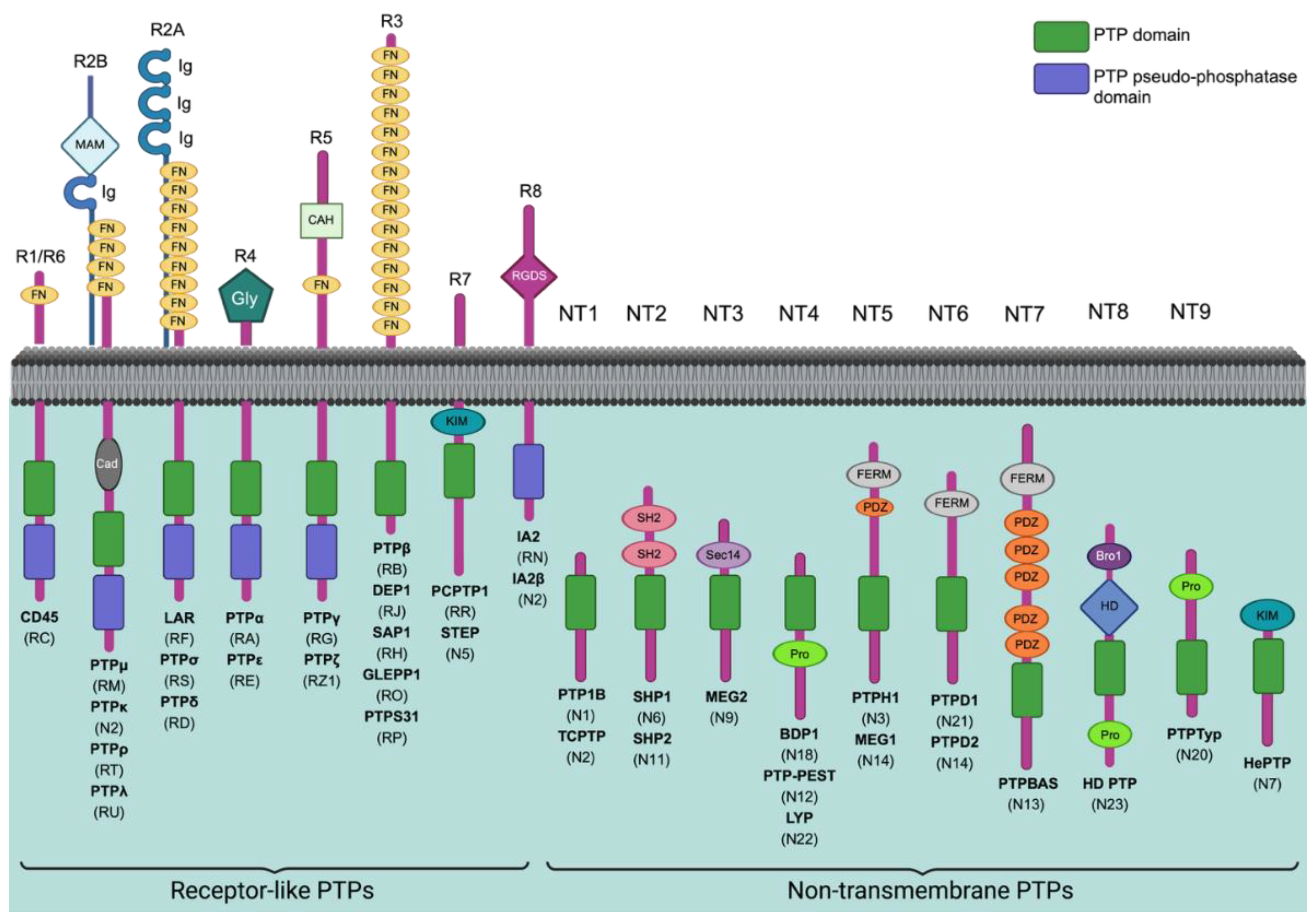 Preprints 228109 g001