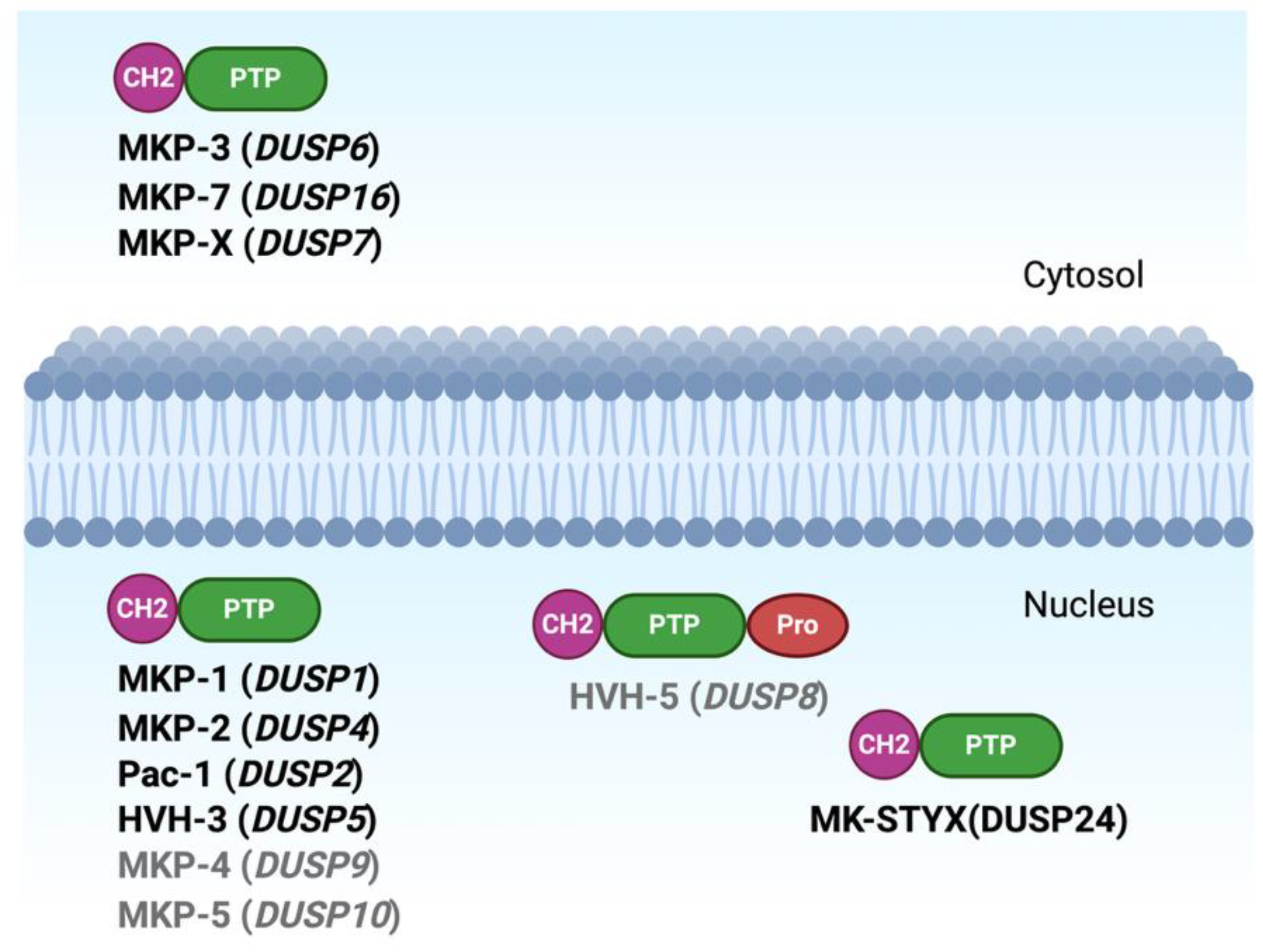 Preprints 228109 g002